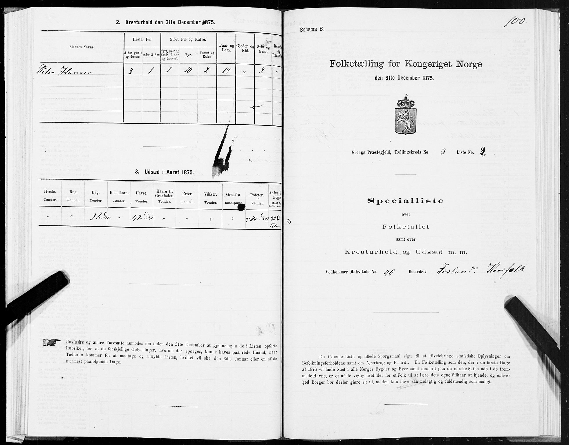 SAT, 1875 census for 1742P Grong, 1875, p. 2100