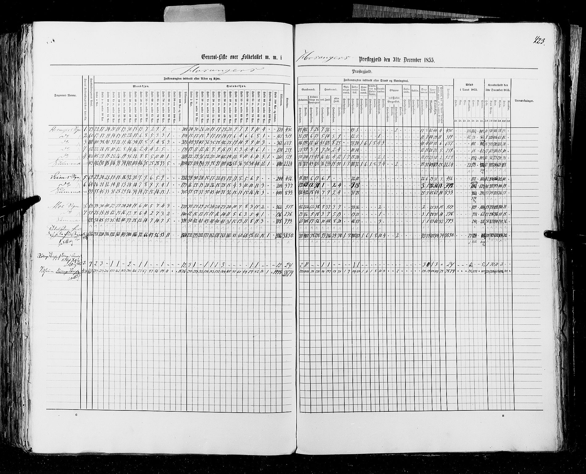 RA, Census 1855, vol. 4: Stavanger amt og Søndre Bergenhus amt, 1855, p. 423