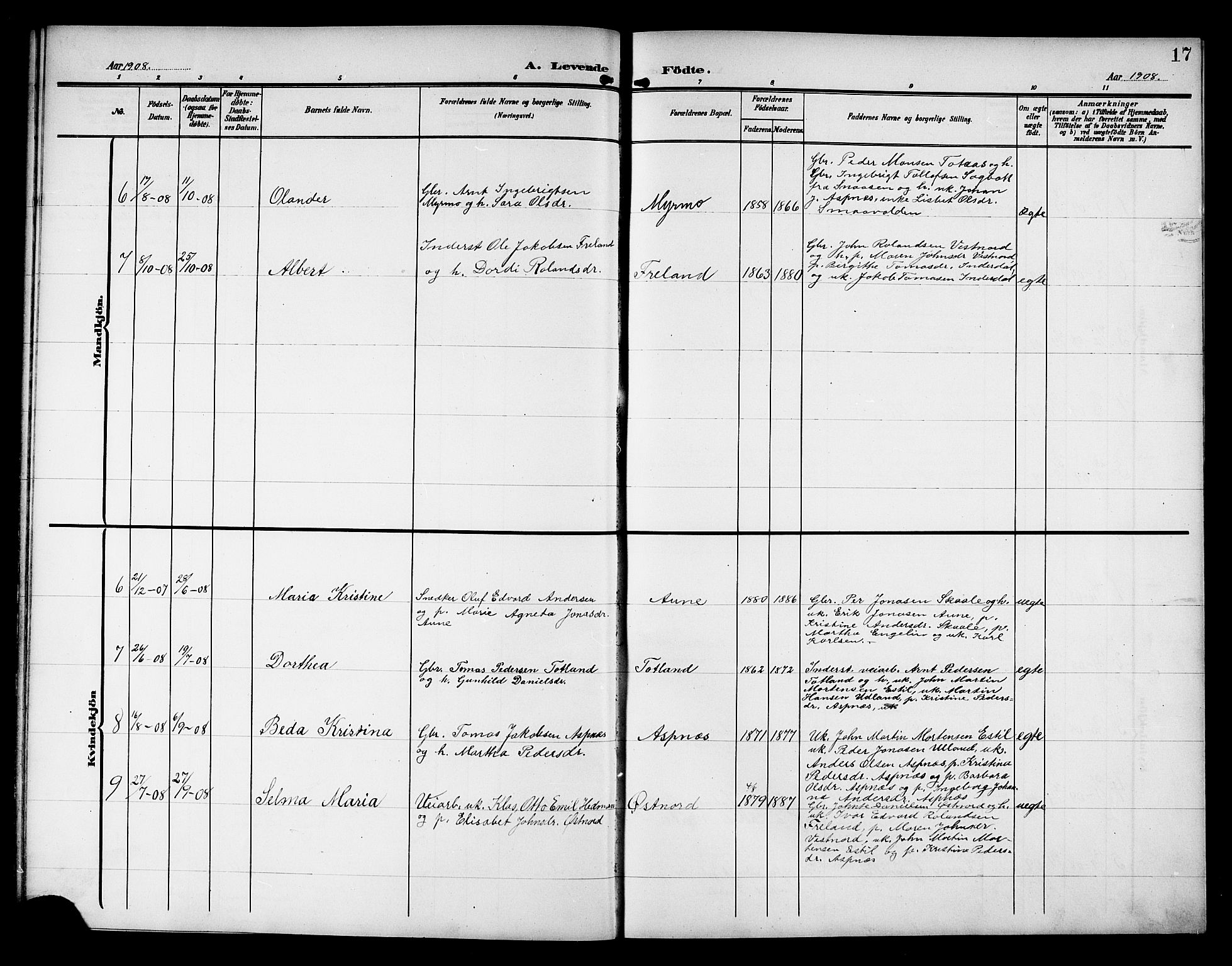 Ministerialprotokoller, klokkerbøker og fødselsregistre - Nord-Trøndelag, SAT/A-1458/757/L0506: Parish register (copy) no. 757C01, 1904-1922, p. 17