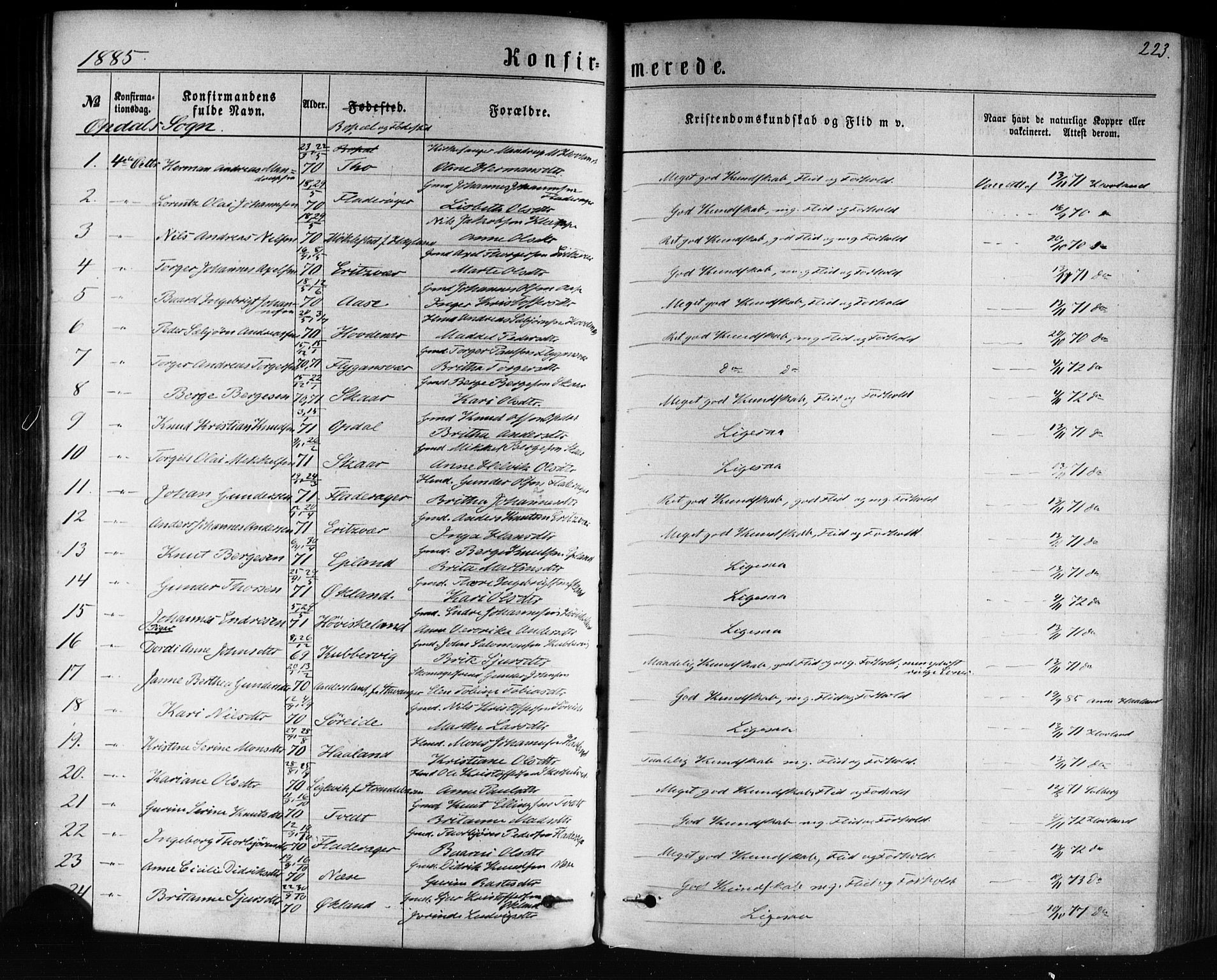 Tysnes sokneprestembete, SAB/A-78601/H/Haa: Parish register (official) no. A 12, 1872-1886, p. 223