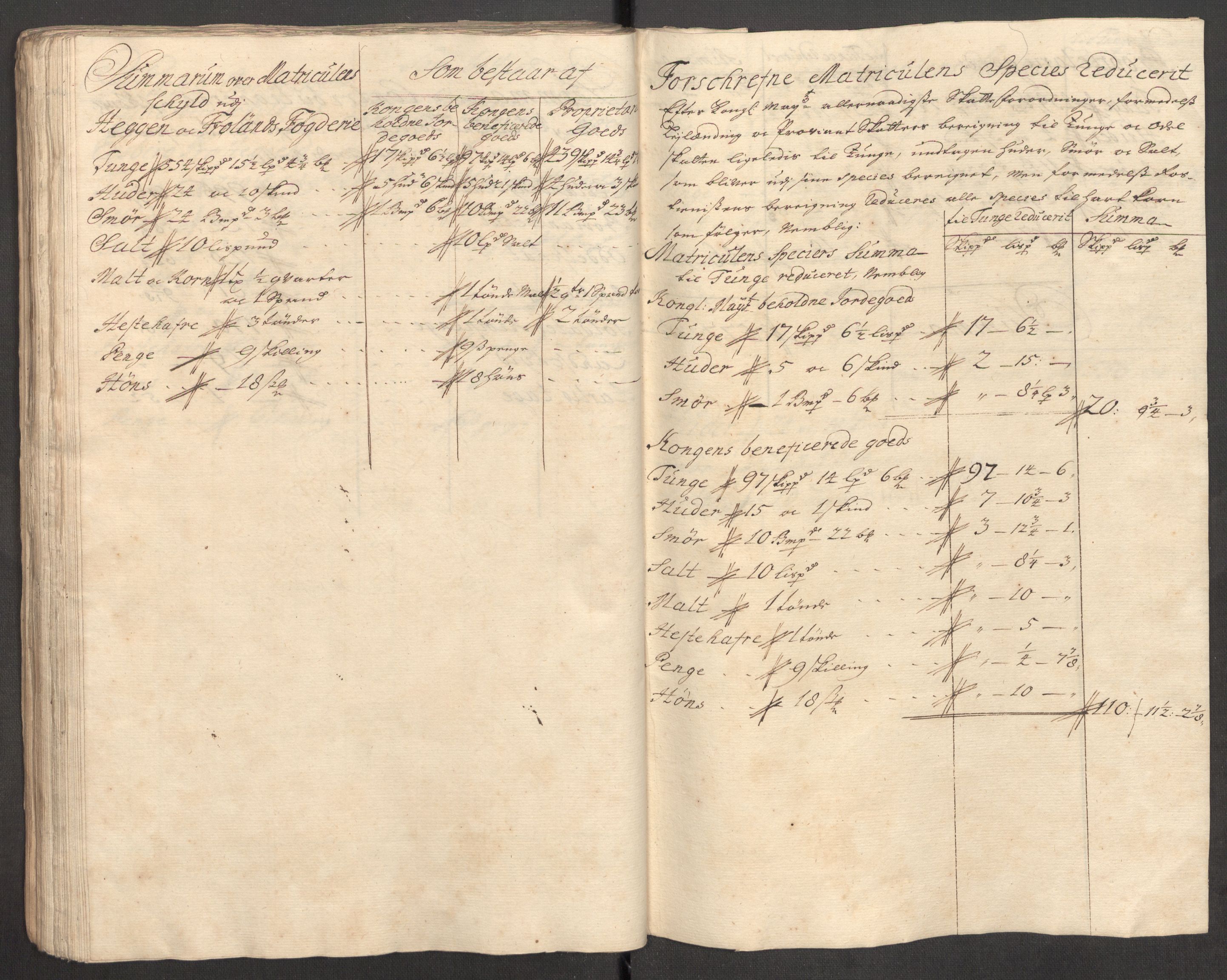 Rentekammeret inntil 1814, Reviderte regnskaper, Fogderegnskap, RA/EA-4092/R07/L0306: Fogderegnskap Rakkestad, Heggen og Frøland, 1713, p. 176