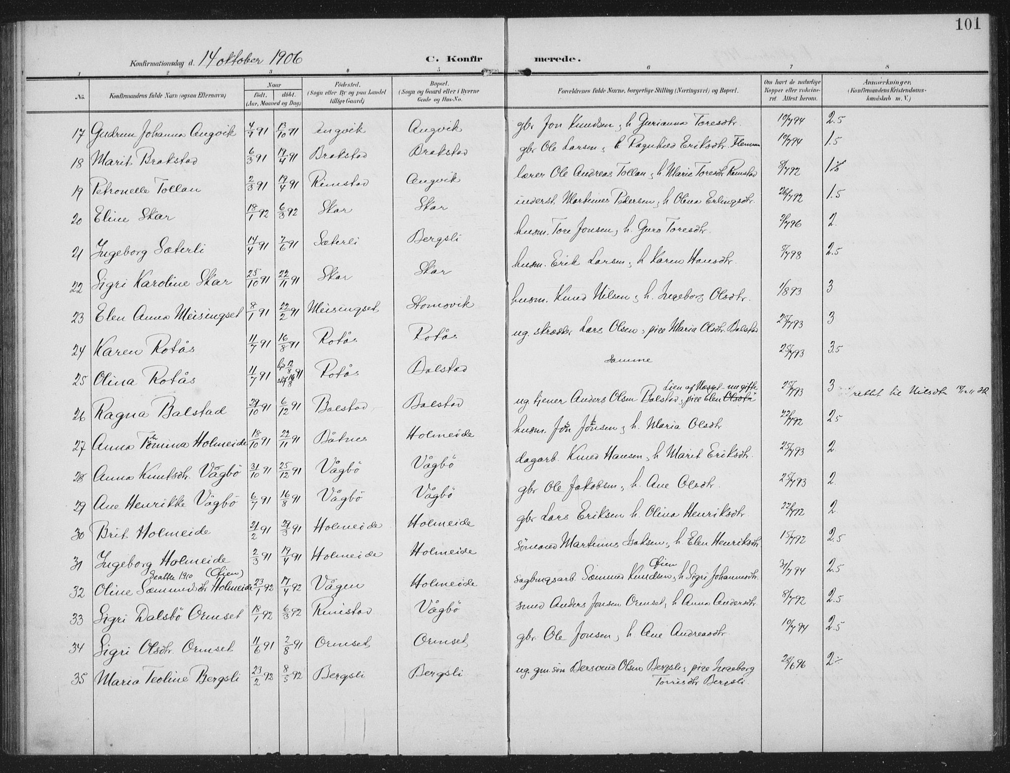 Ministerialprotokoller, klokkerbøker og fødselsregistre - Møre og Romsdal, AV/SAT-A-1454/586/L0989: Parish register (official) no. 586A15, 1906-1915, p. 101