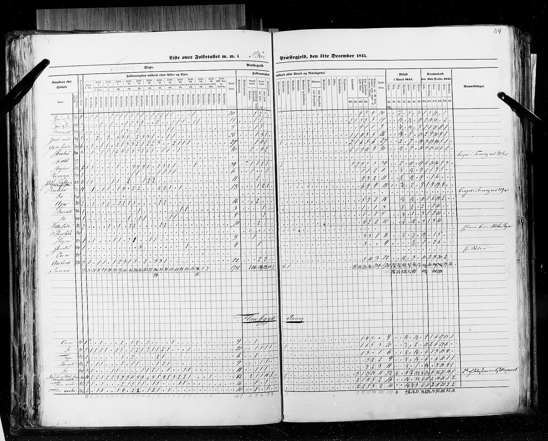 RA, Census 1845, vol. 5: Bratsberg amt og Nedenes og Råbyggelaget amt, 1845, p. 104