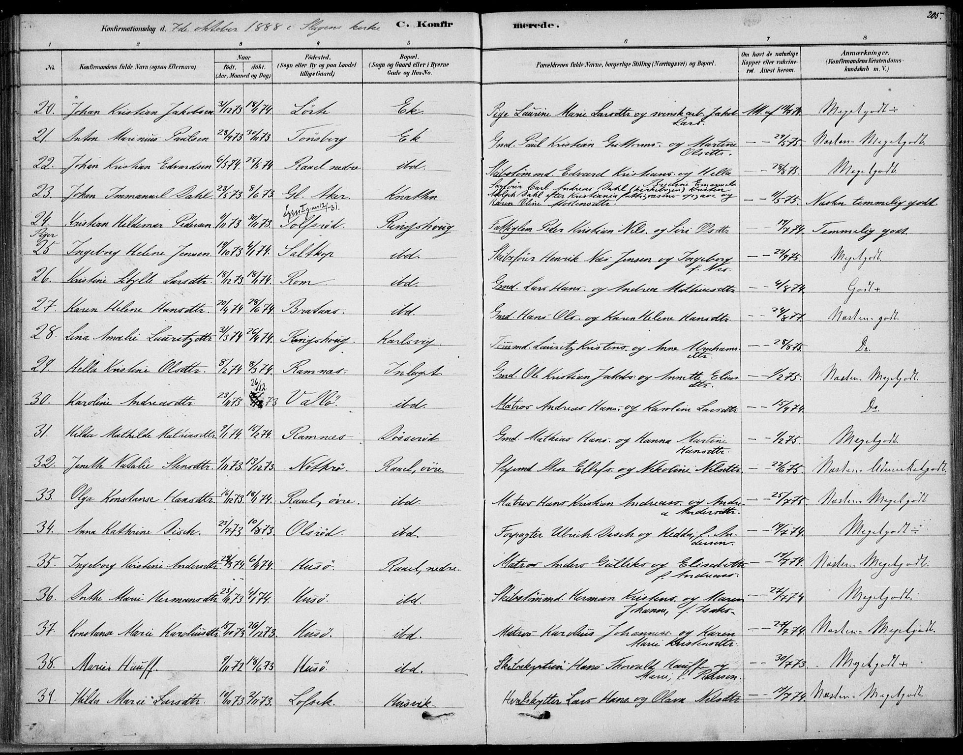 Sem kirkebøker, AV/SAKO-A-5/F/Fb/L0004: Parish register (official) no. II 4, 1878-1891, p. 205