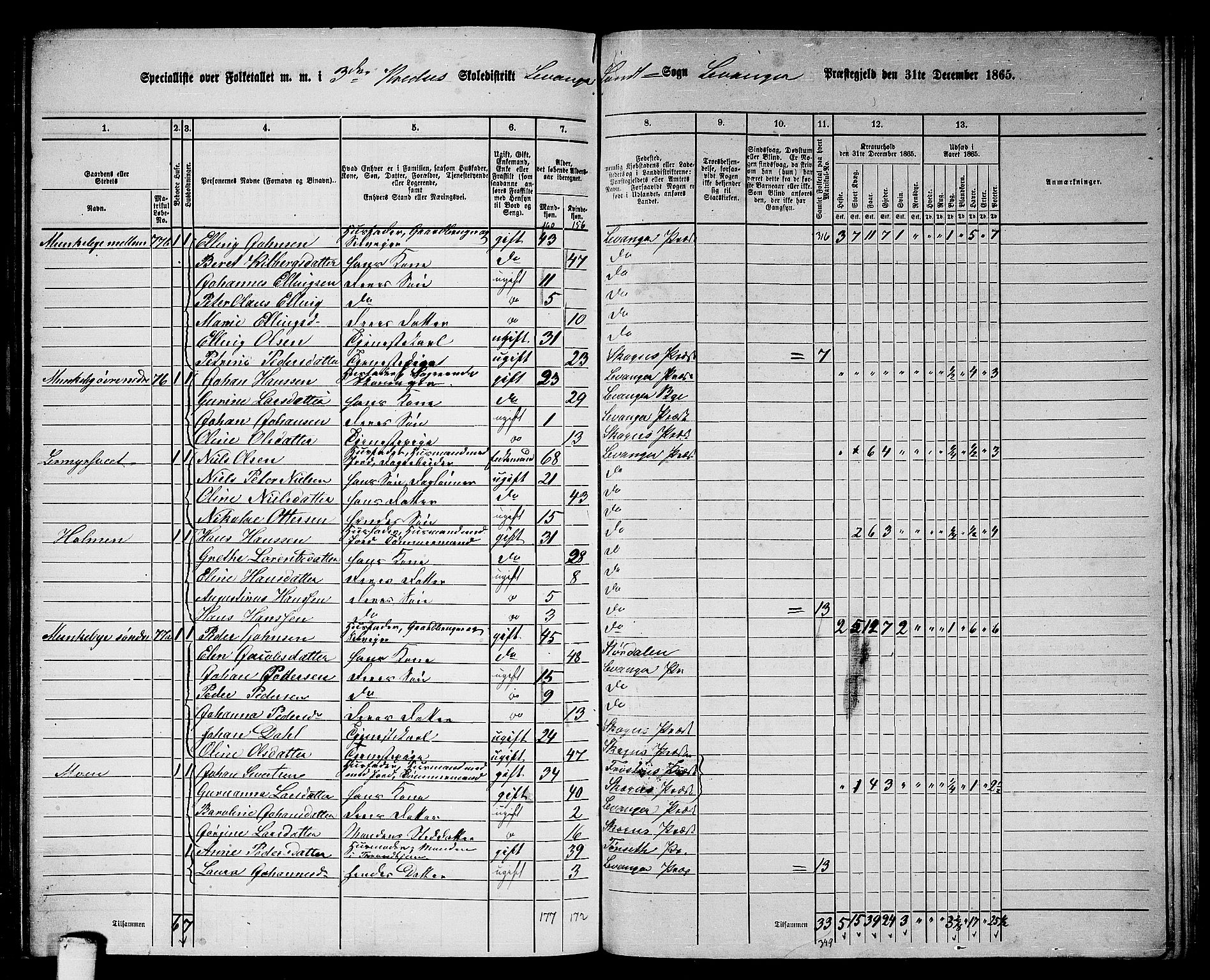 RA, 1865 census for Levanger/Levanger, 1865, p. 68