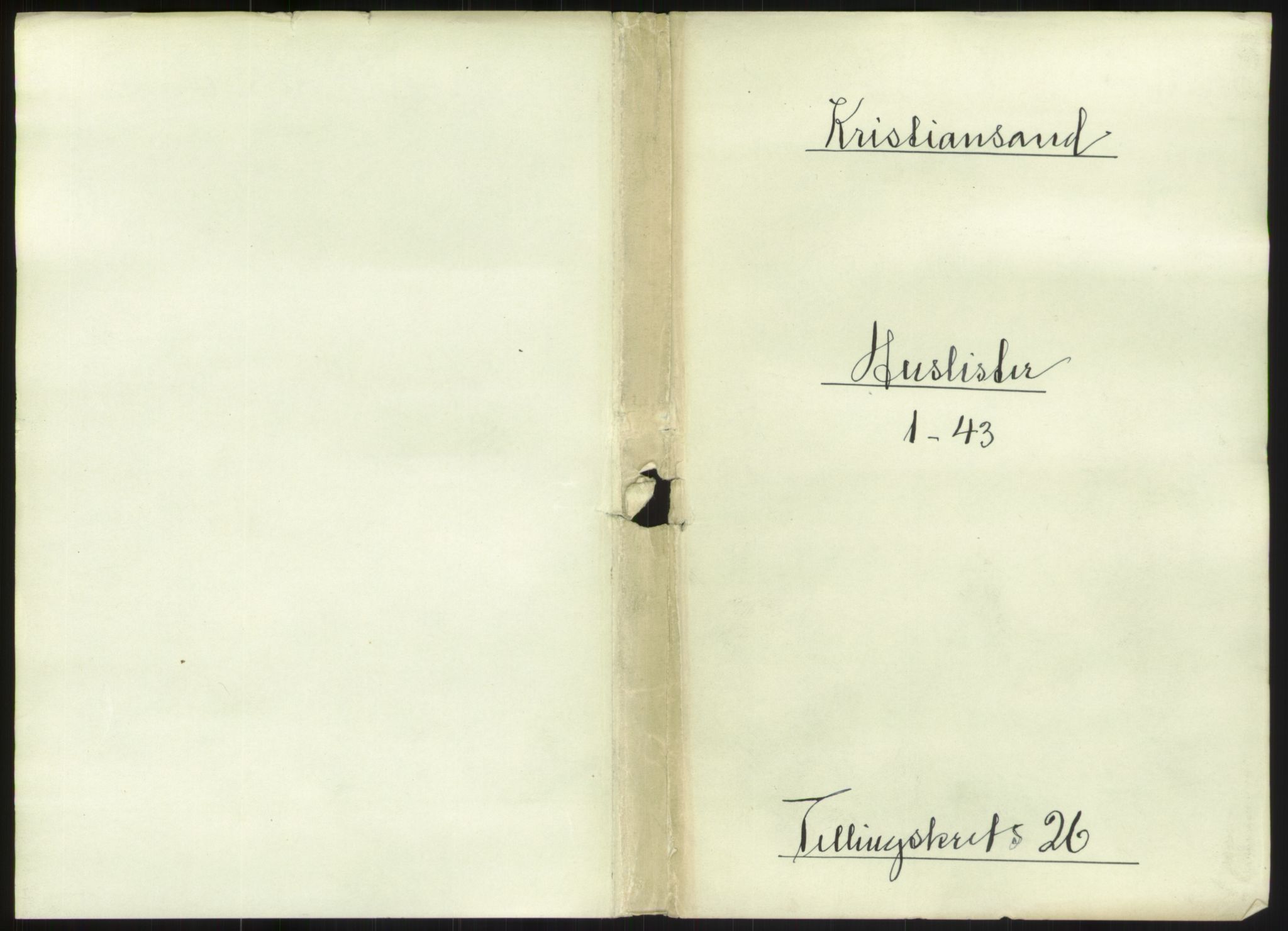 RA, 1891 census for 1001 Kristiansand, 1891, p. 1406