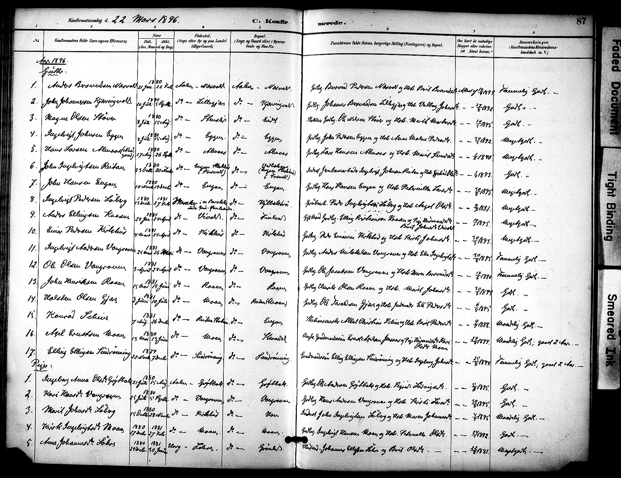 Ministerialprotokoller, klokkerbøker og fødselsregistre - Sør-Trøndelag, SAT/A-1456/686/L0984: Parish register (official) no. 686A02, 1891-1906, p. 87