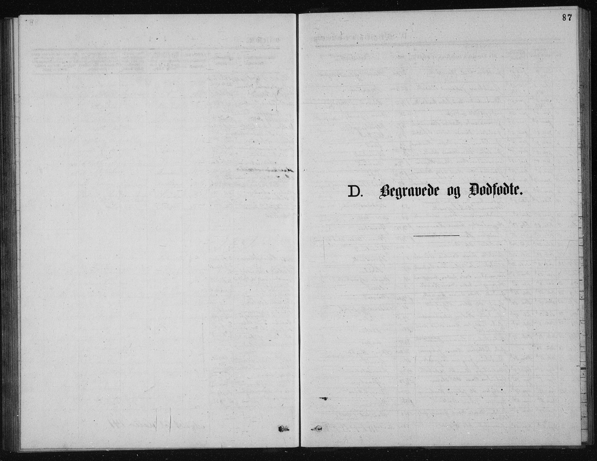 Solum kirkebøker, SAKO/A-306/G/Ga/L0005: Parish register (copy) no. I 5, 1877-1881, p. 87