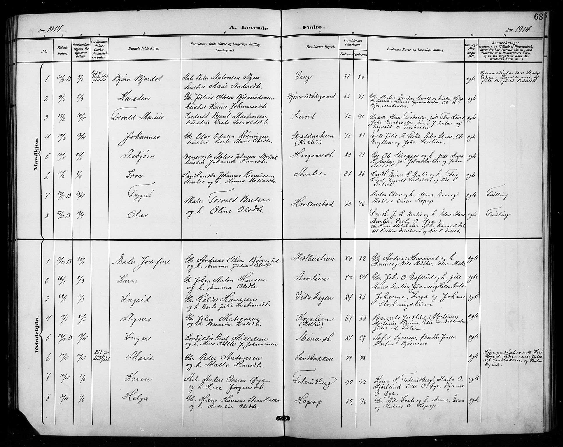 Vestre Toten prestekontor, SAH/PREST-108/H/Ha/Hab/L0016: Parish register (copy) no. 16, 1901-1915, p. 63