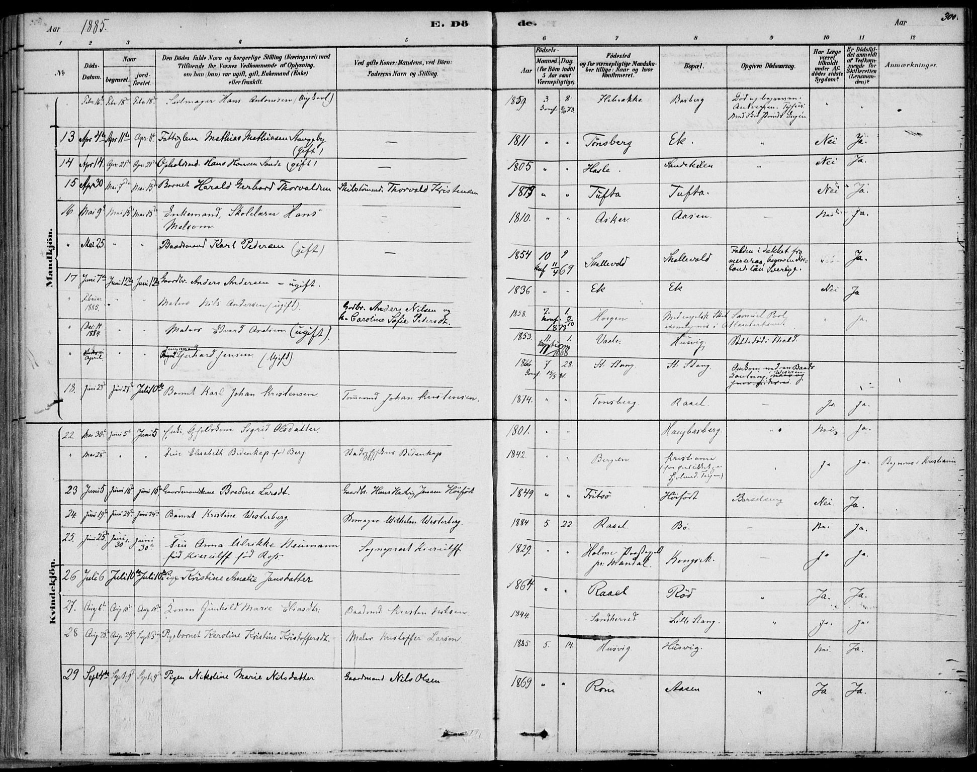 Sem kirkebøker, AV/SAKO-A-5/F/Fb/L0004: Parish register (official) no. II 4, 1878-1891, p. 300