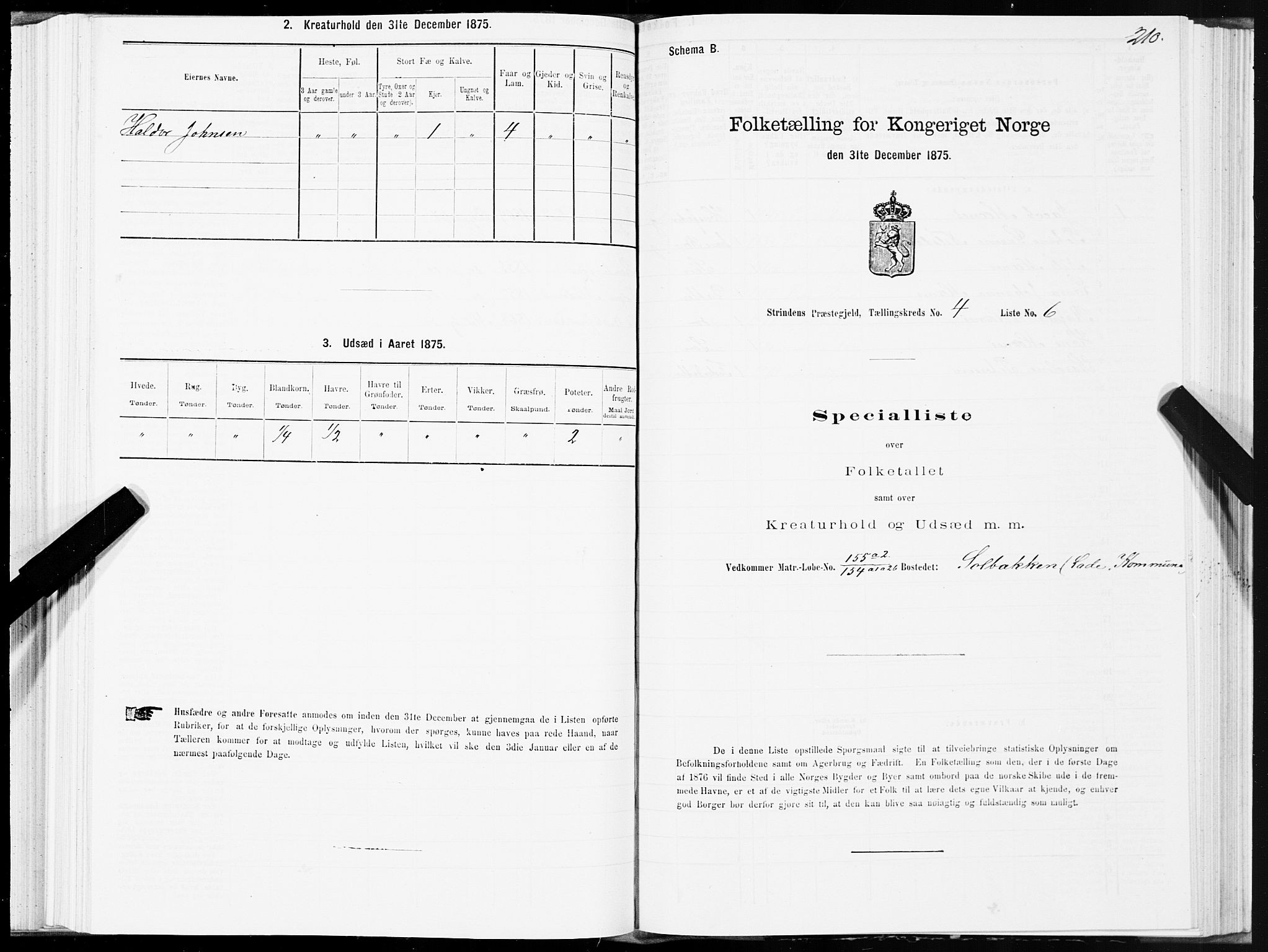 SAT, 1875 census for 1660P Strinda, 1875, p. 2210