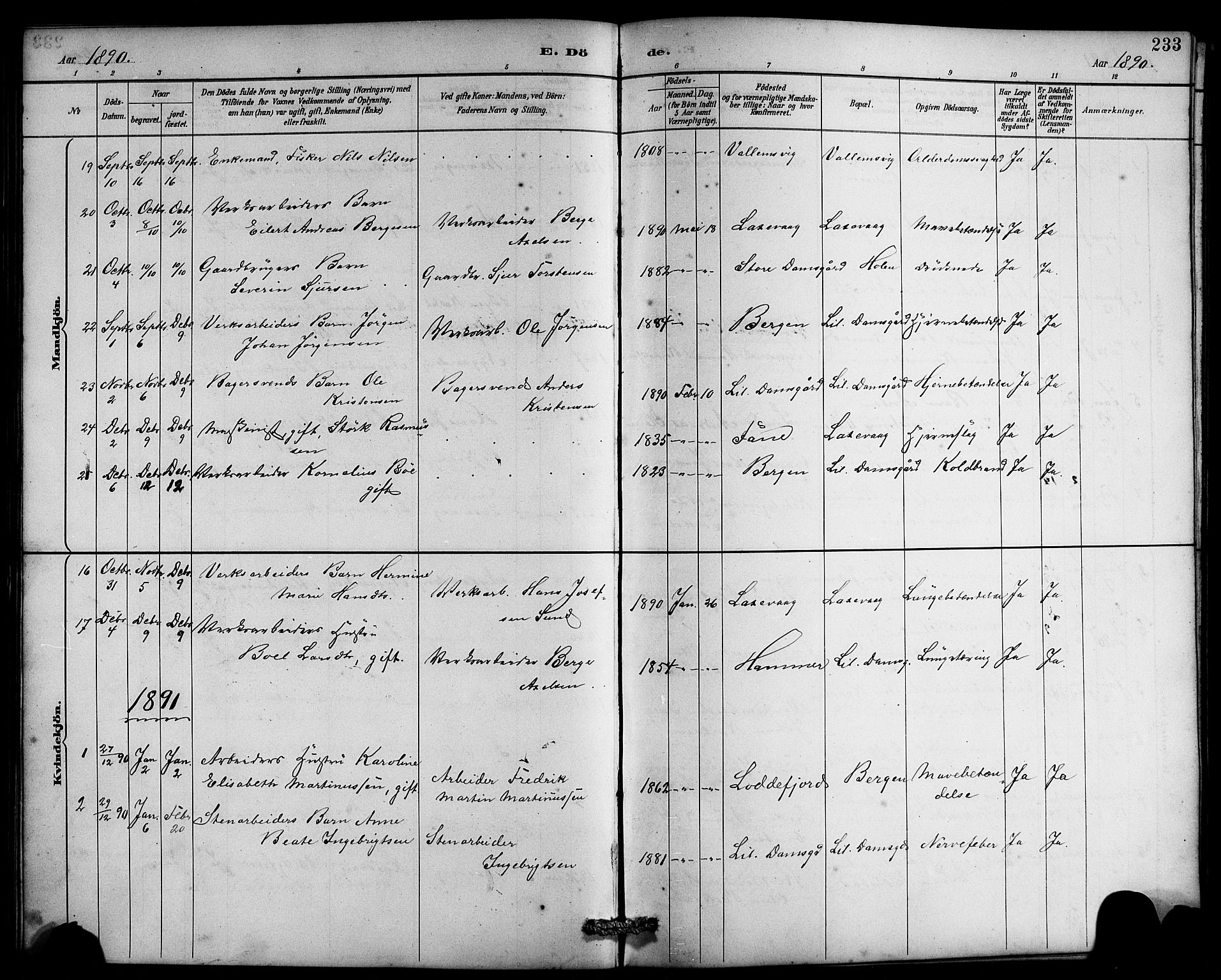Laksevåg Sokneprestembete, SAB/A-76501/H/Ha/Hab/Haba/L0003: Parish register (copy) no. A 3, 1887-1899, p. 233