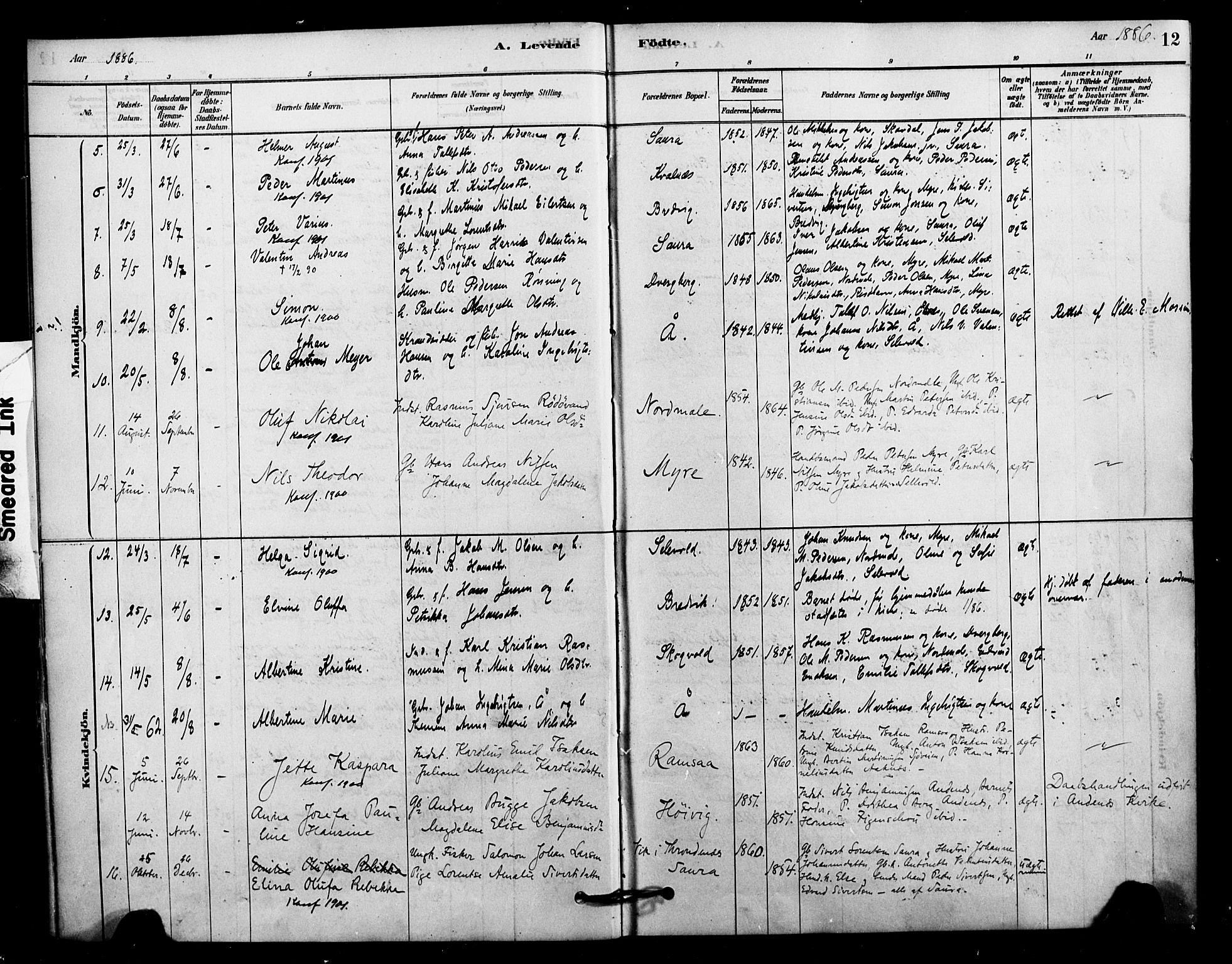 Ministerialprotokoller, klokkerbøker og fødselsregistre - Nordland, AV/SAT-A-1459/897/L1399: Parish register (official) no. 897C06, 1881-1896, p. 12