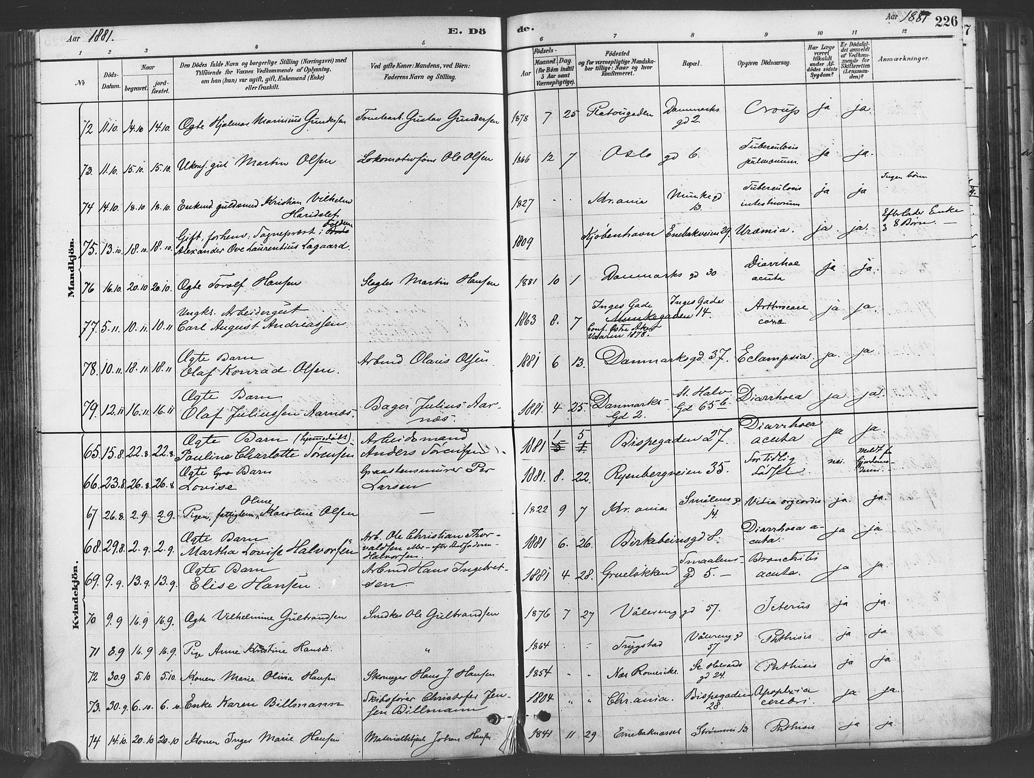 Gamlebyen prestekontor Kirkebøker, SAO/A-10884/F/Fa/L0006: Parish register (official) no. 6, 1881-1890, p. 226