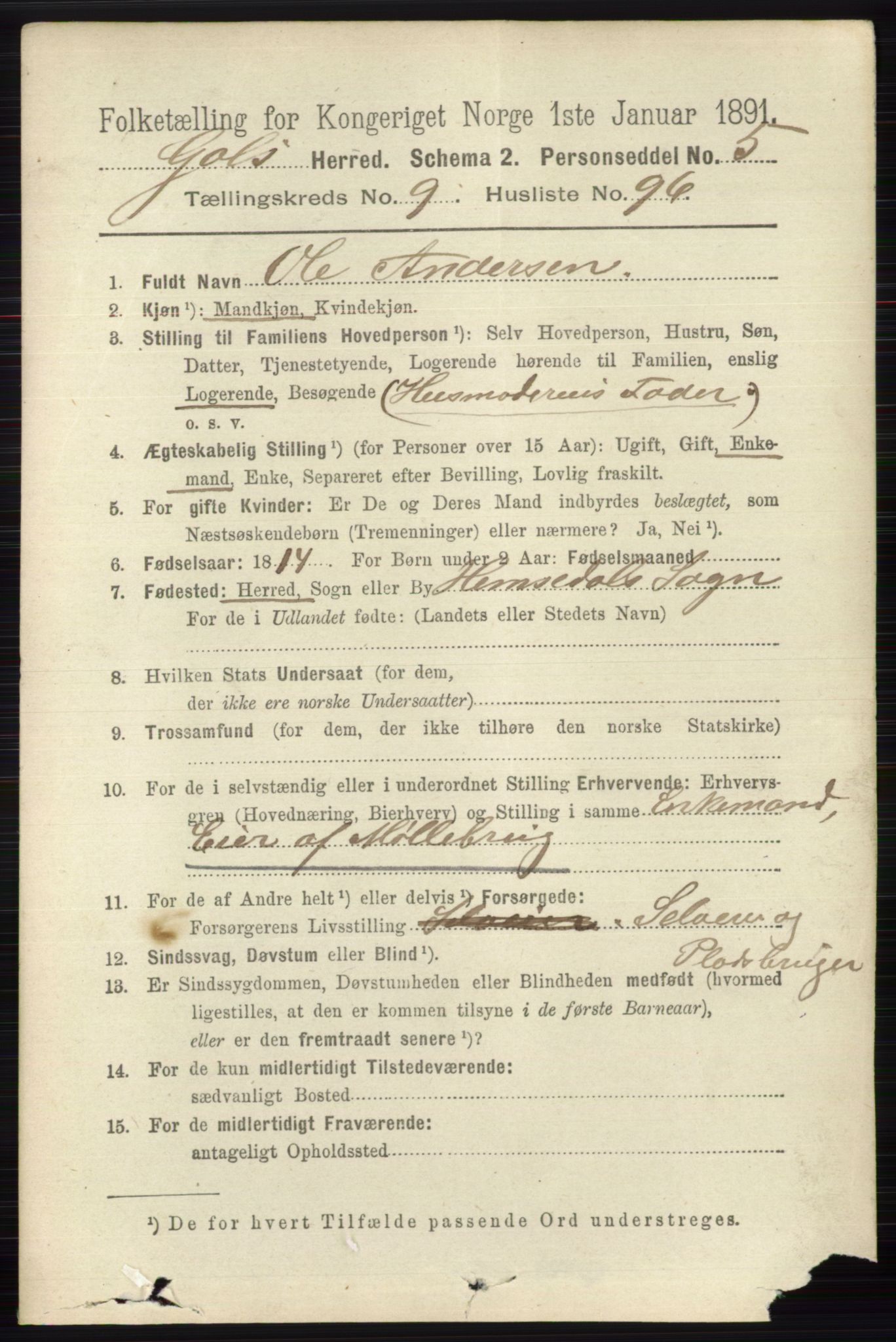 RA, 1891 census for 0617 Gol og Hemsedal, 1891, p. 3977