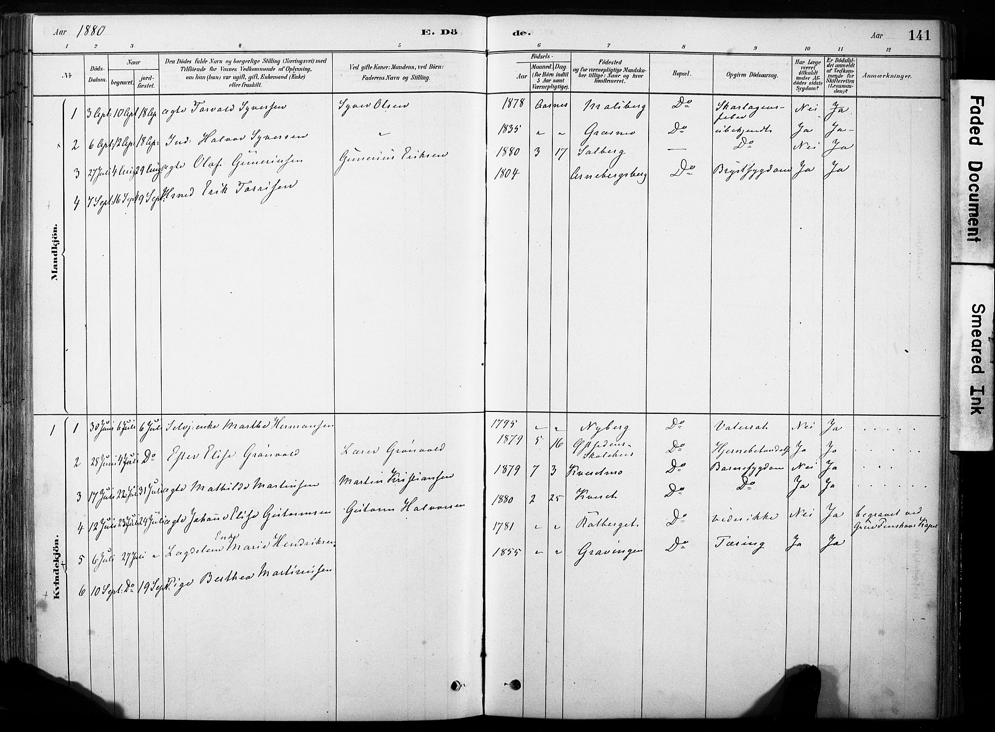 Hof prestekontor, AV/SAH-PREST-038/H/Ha/Haa/L0011: Parish register (official) no. 11, 1879-1911, p. 141