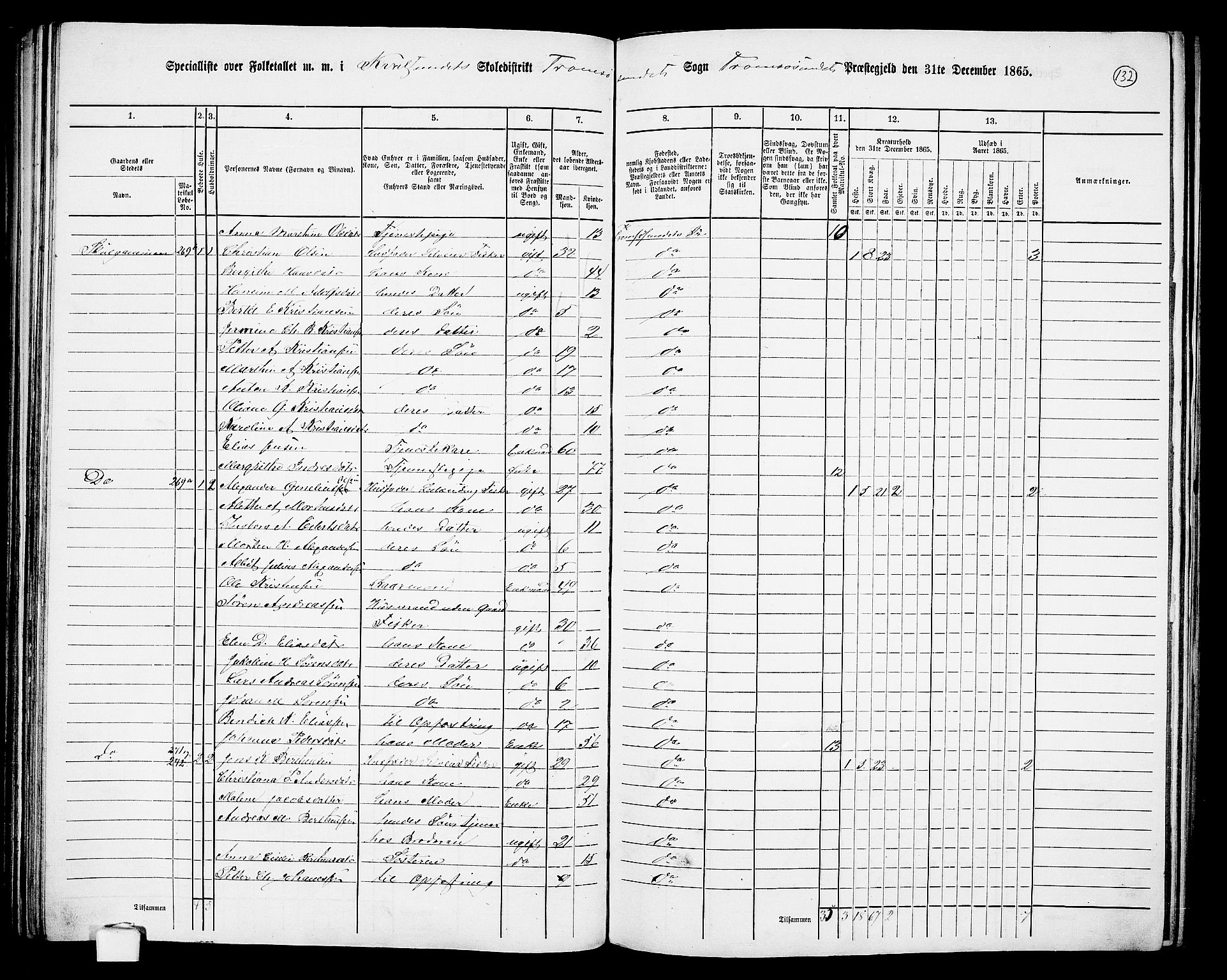 RA, 1865 census for Tromsøysund, 1865, p. 110