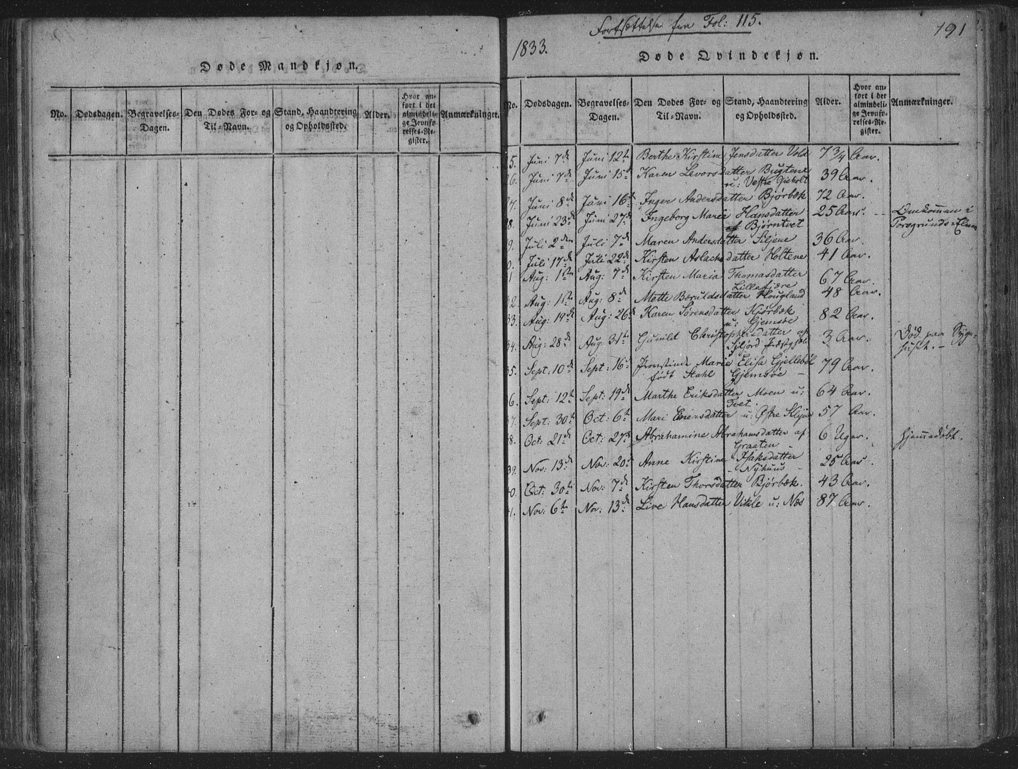 Solum kirkebøker, AV/SAKO-A-306/F/Fa/L0004: Parish register (official) no. I 4, 1814-1833, p. 191