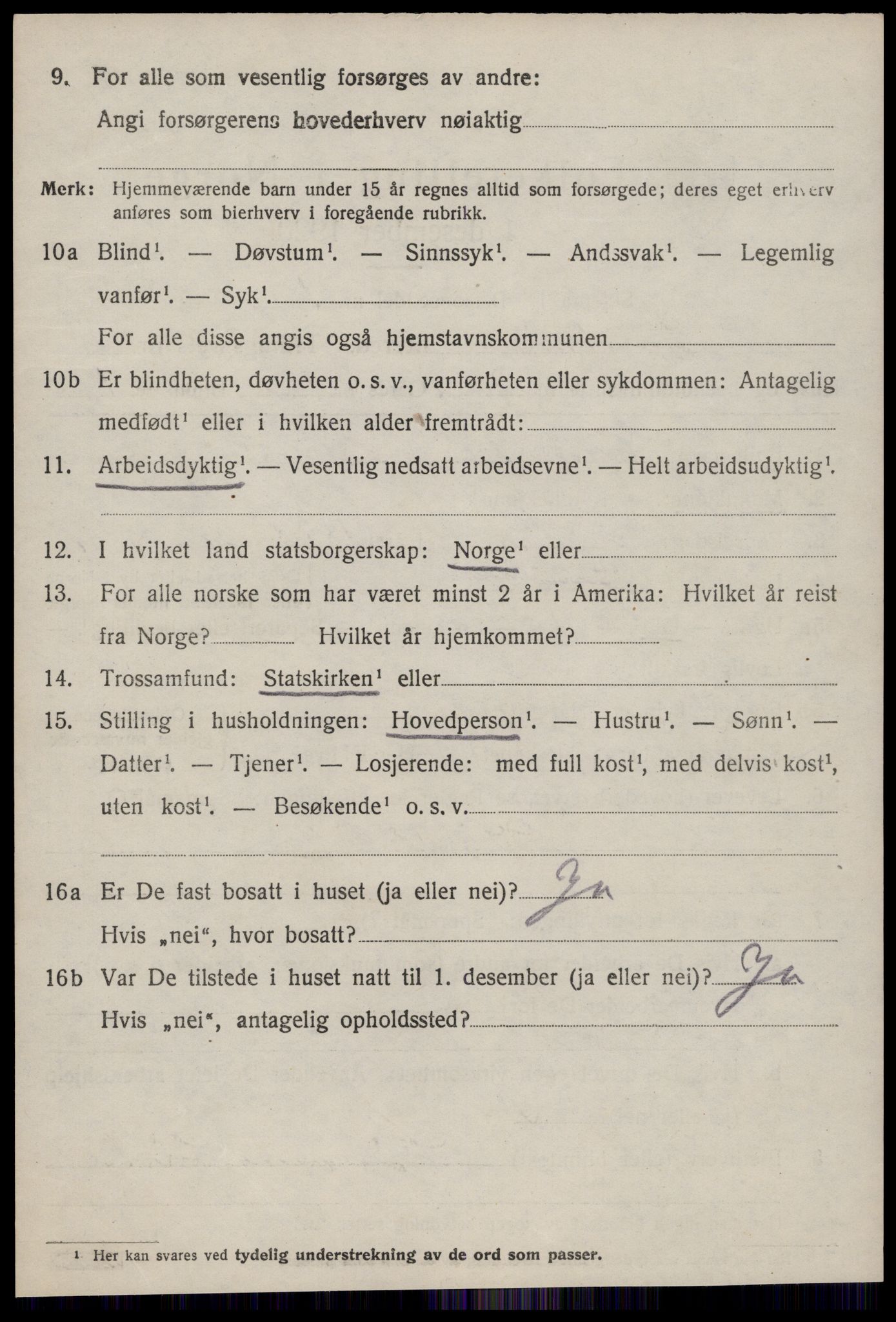 SAT, 1920 census for Hustad, 1920, p. 1538
