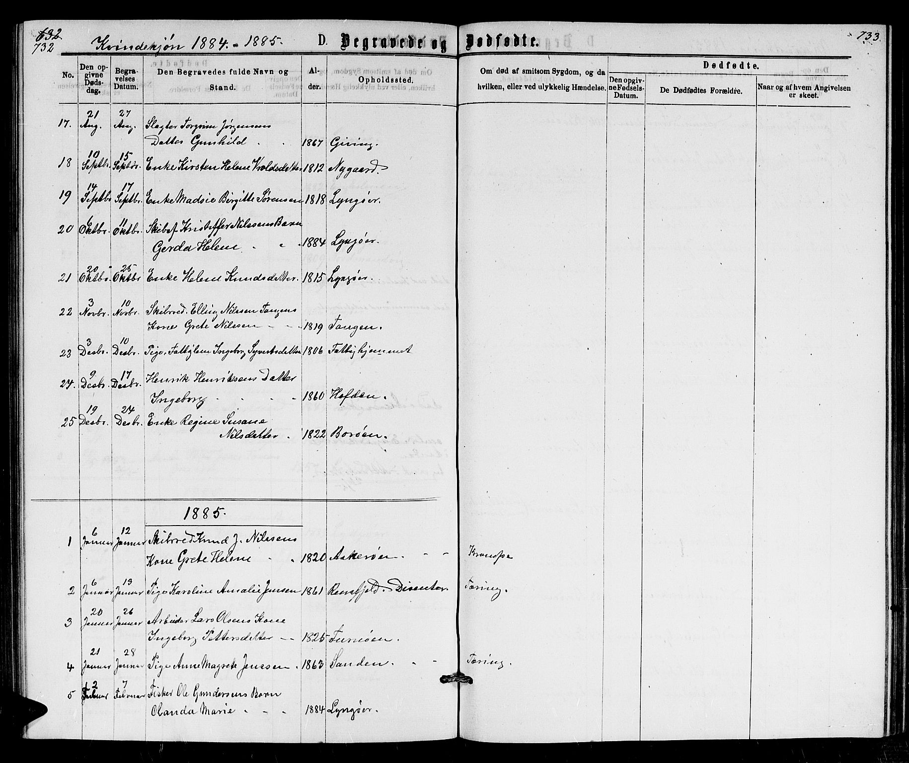 Dypvåg sokneprestkontor, AV/SAK-1111-0007/F/Fb/Fba/L0012: Parish register (copy) no. B 12, 1872-1886, p. 732-733