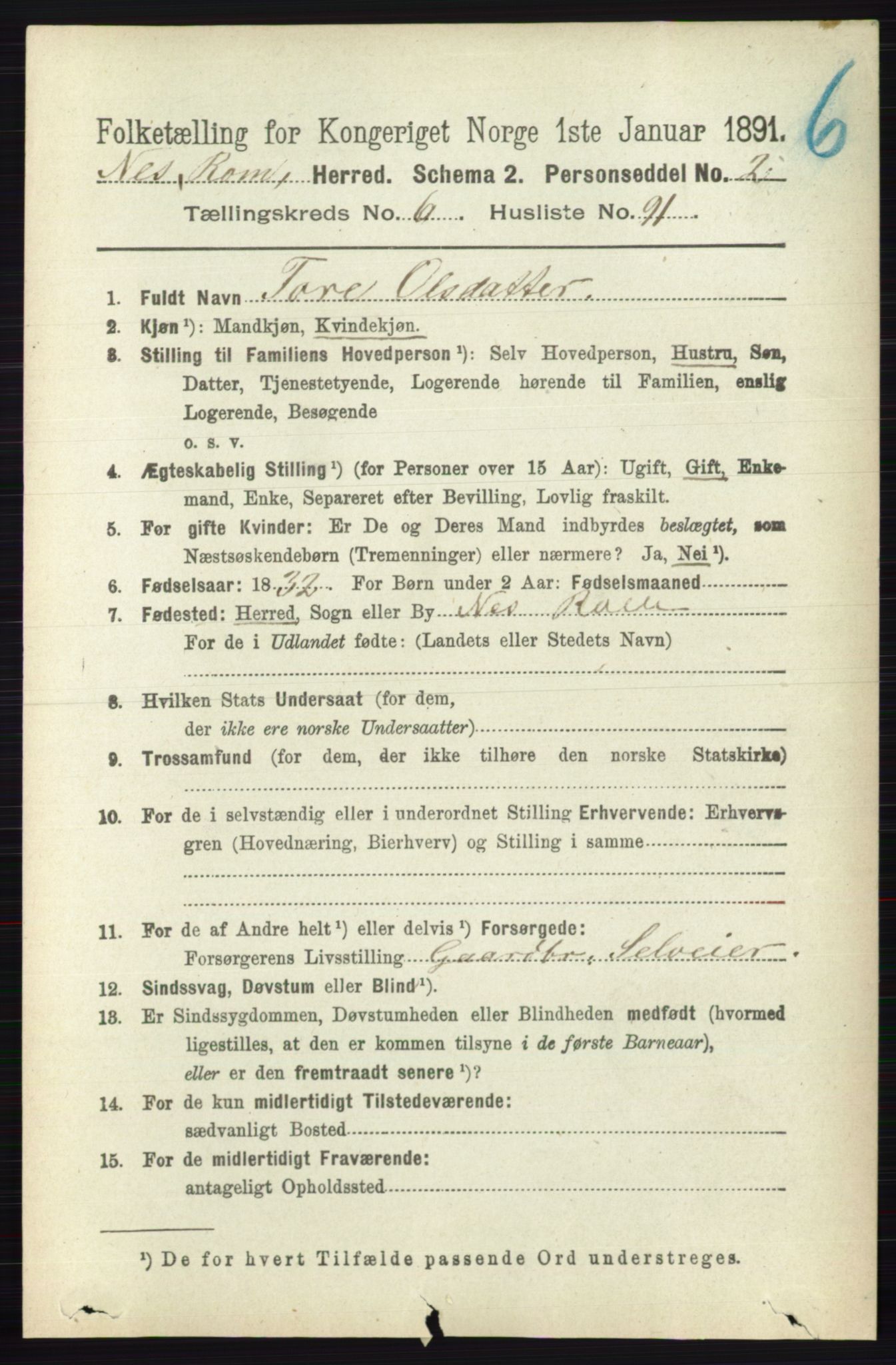 RA, 1891 census for 0236 Nes, 1891, p. 3936