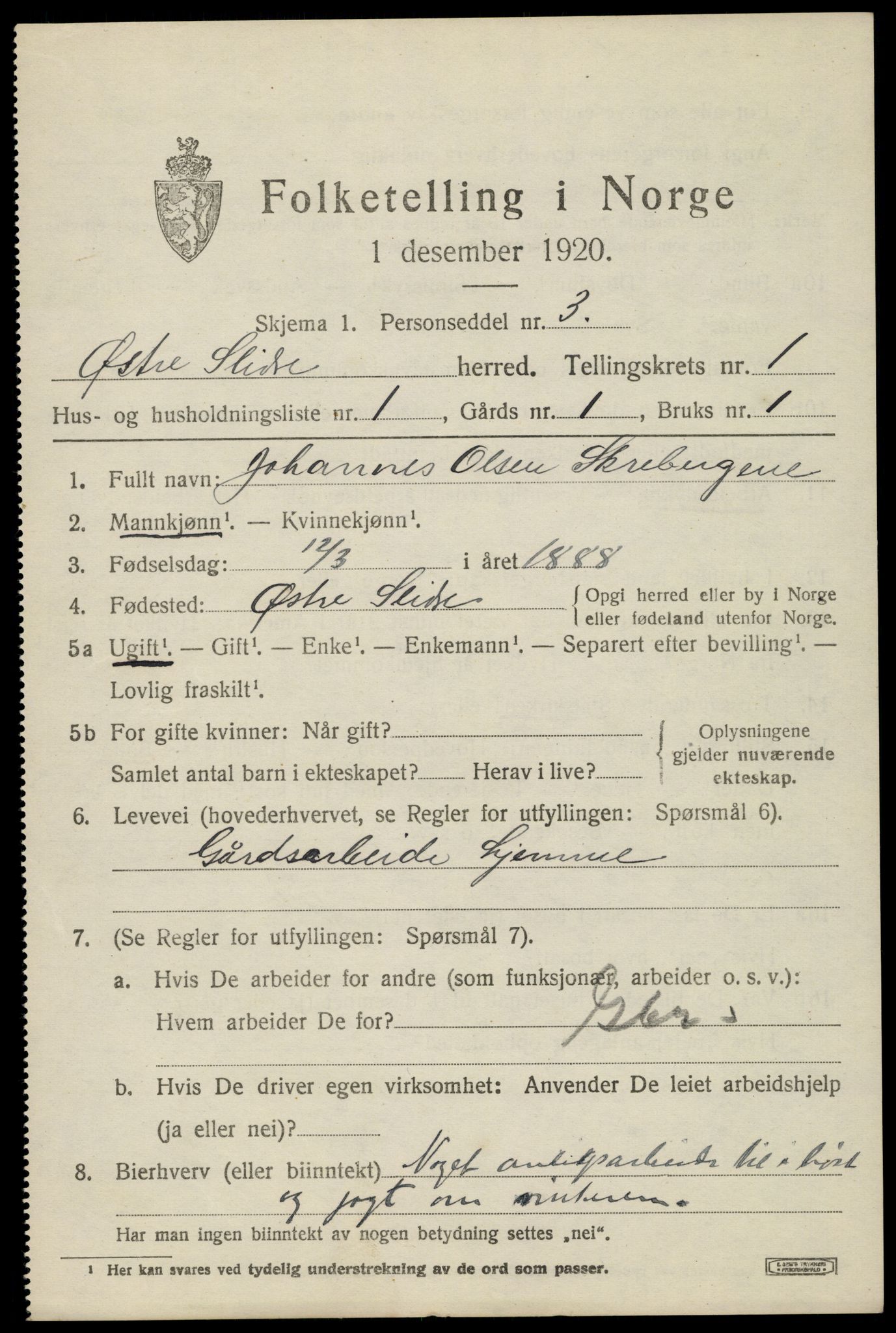 SAH, 1920 census for Øystre Slidre, 1920, p. 1007