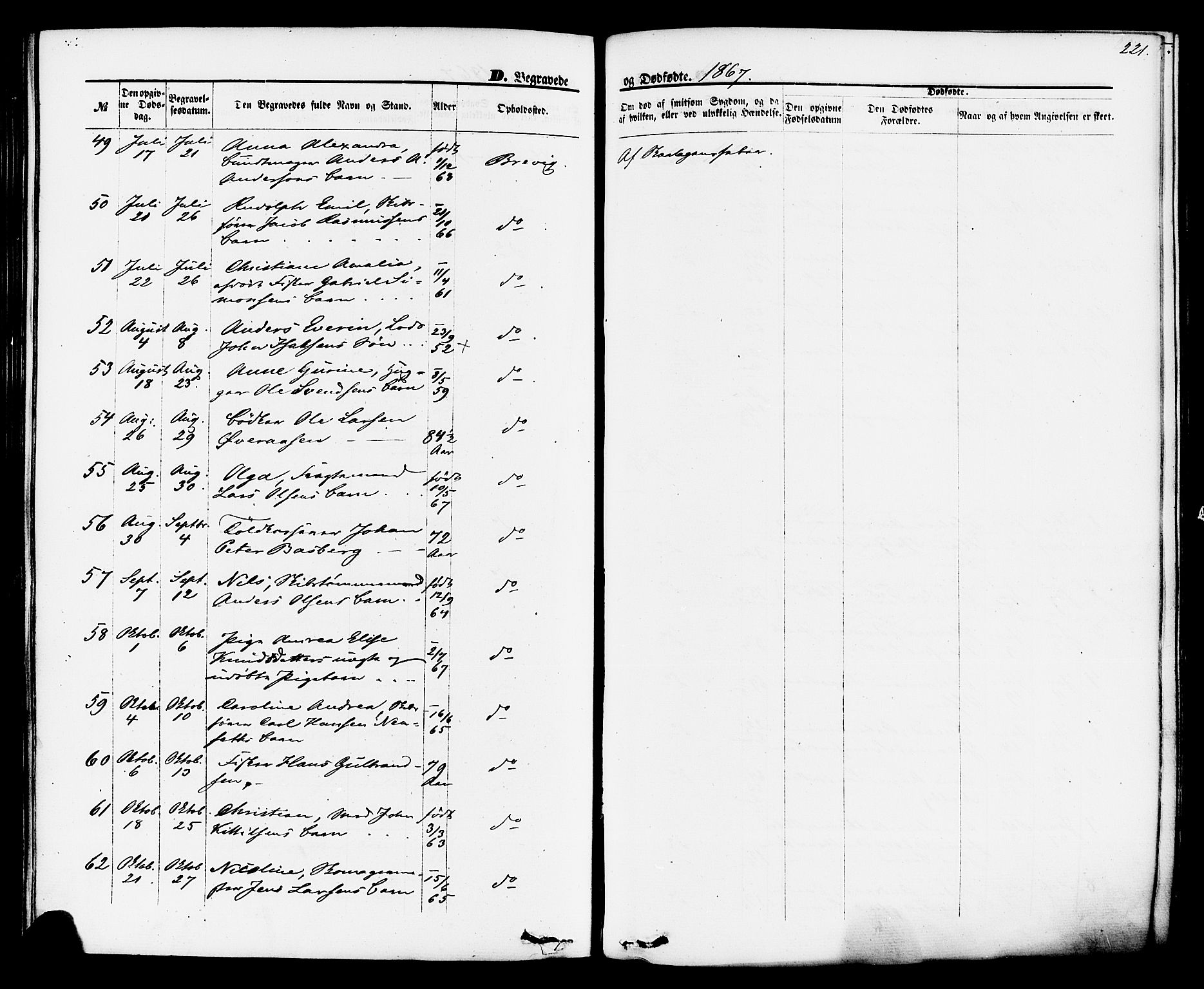 Brevik kirkebøker, SAKO/A-255/F/Fa/L0006: Parish register (official) no. 6, 1866-1881, p. 221
