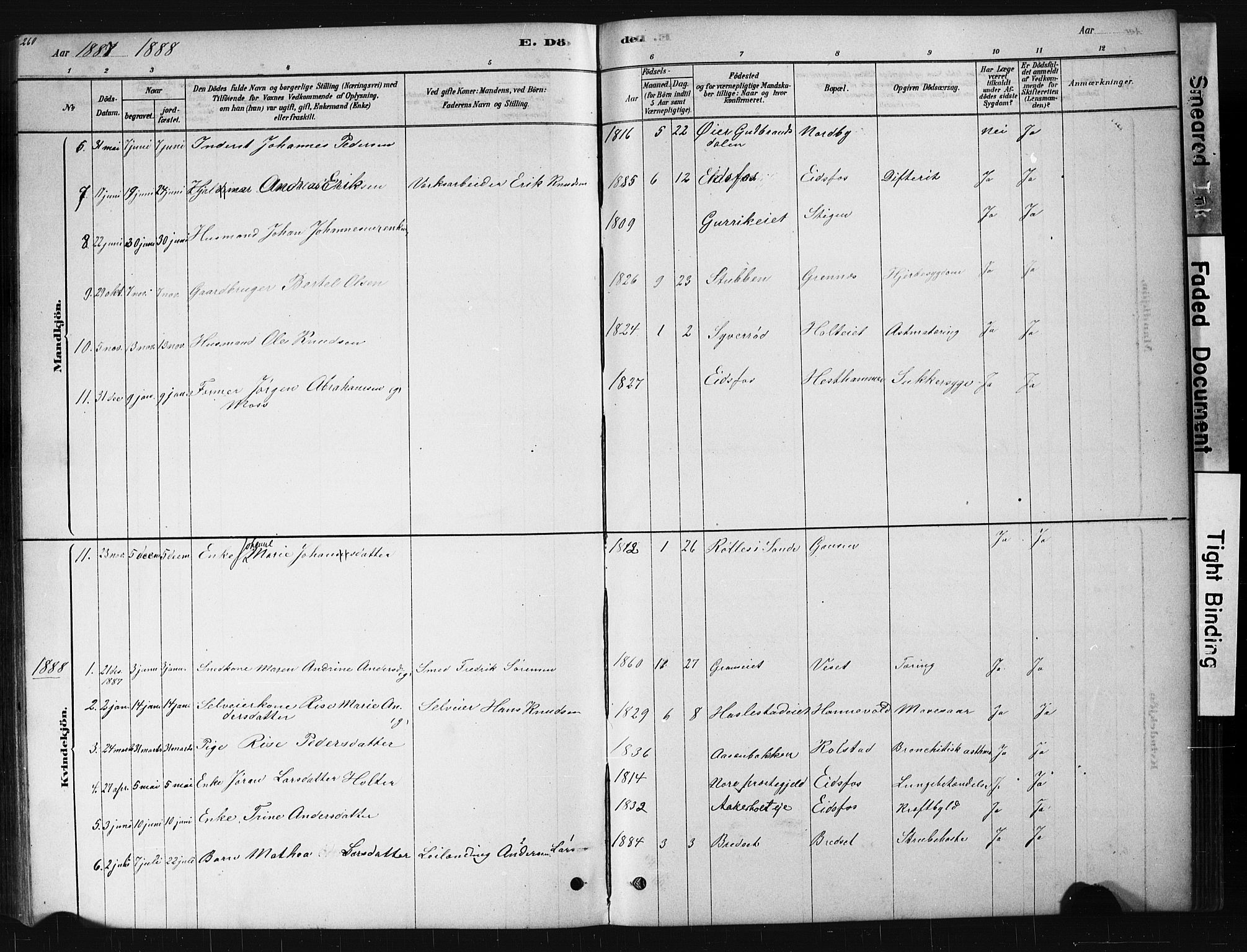 Hof kirkebøker, AV/SAKO-A-64/G/Ga/L0004: Parish register (copy) no. I 4, 1878-1930, p. 260