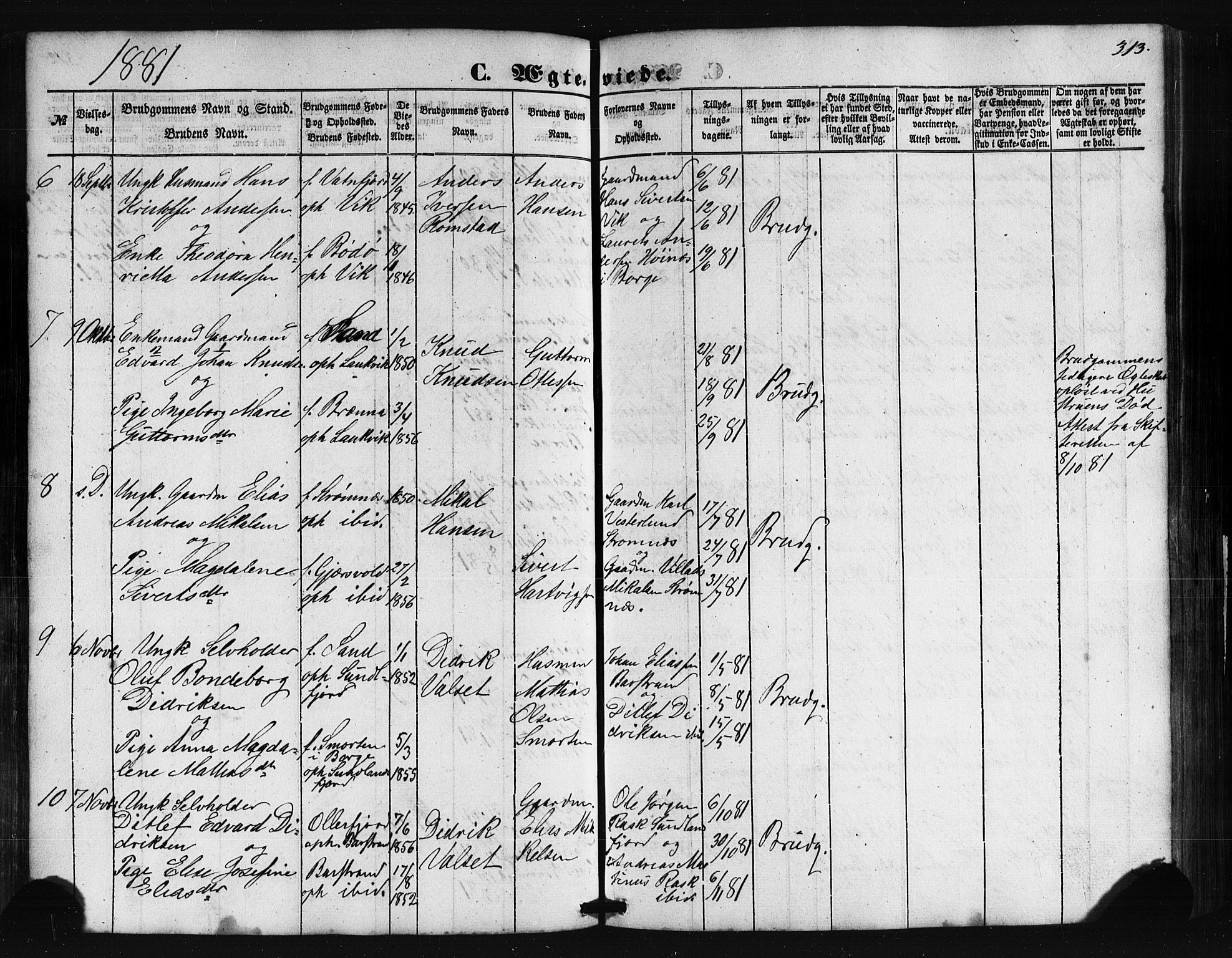 Ministerialprotokoller, klokkerbøker og fødselsregistre - Nordland, AV/SAT-A-1459/876/L1095: Parish register (official) no. 876A01, 1863-1885, p. 313