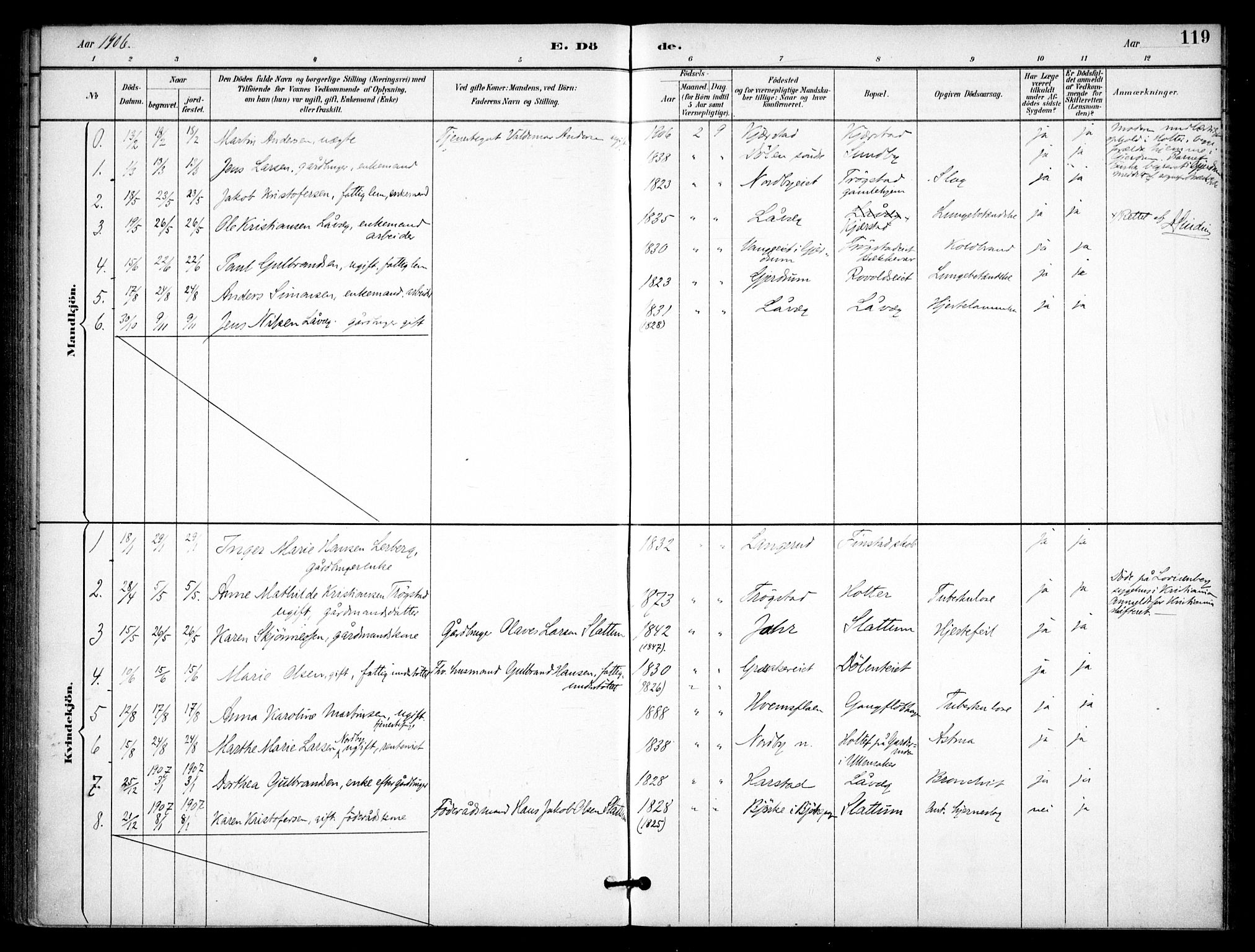 Nannestad prestekontor Kirkebøker, AV/SAO-A-10414a/F/Fb/L0002: Parish register (official) no. II 2, 1891-1909, p. 119