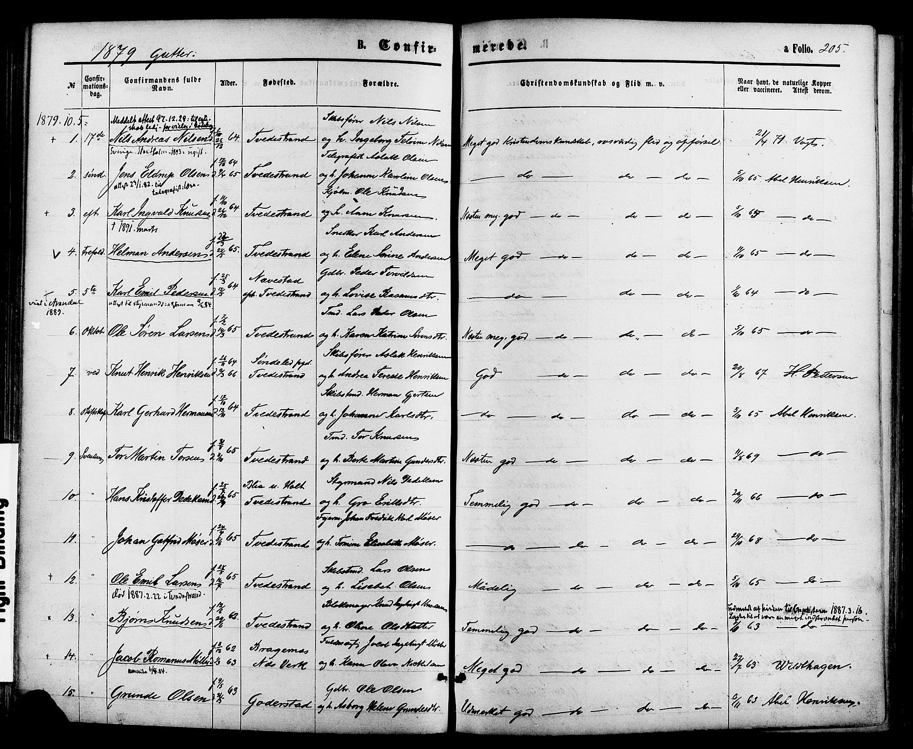 Holt sokneprestkontor, AV/SAK-1111-0021/F/Fa/L0010: Parish register (official) no. A 10, 1872-1885, p. 205