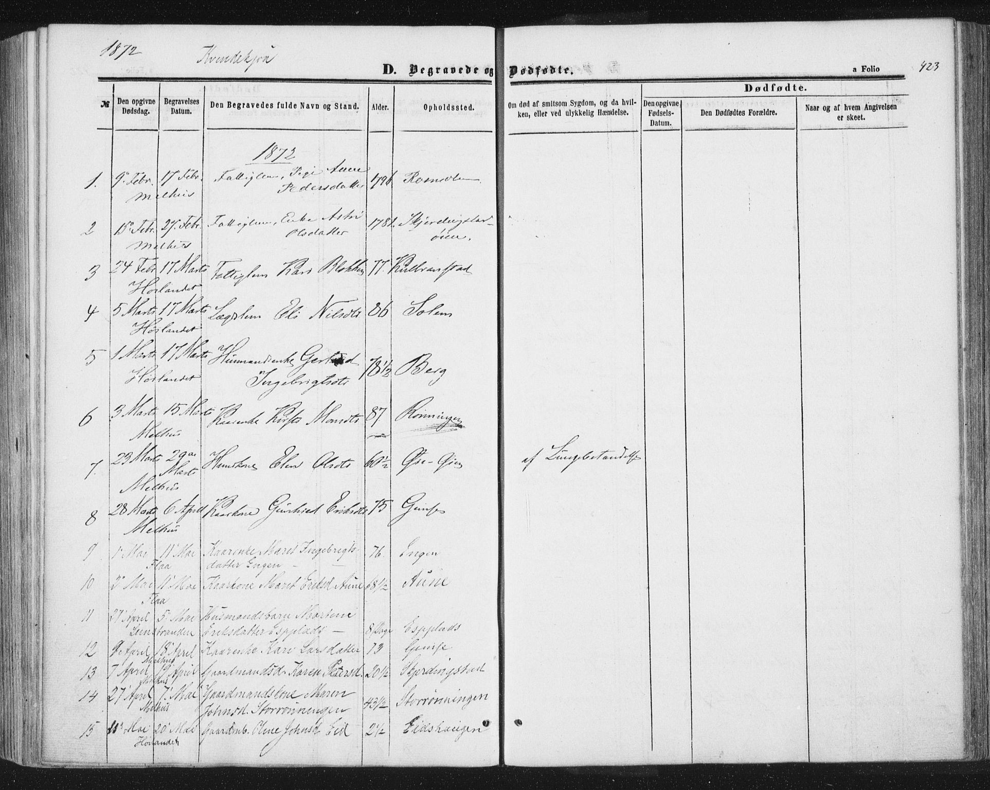 Ministerialprotokoller, klokkerbøker og fødselsregistre - Sør-Trøndelag, AV/SAT-A-1456/691/L1077: Parish register (official) no. 691A09, 1862-1873, p. 423