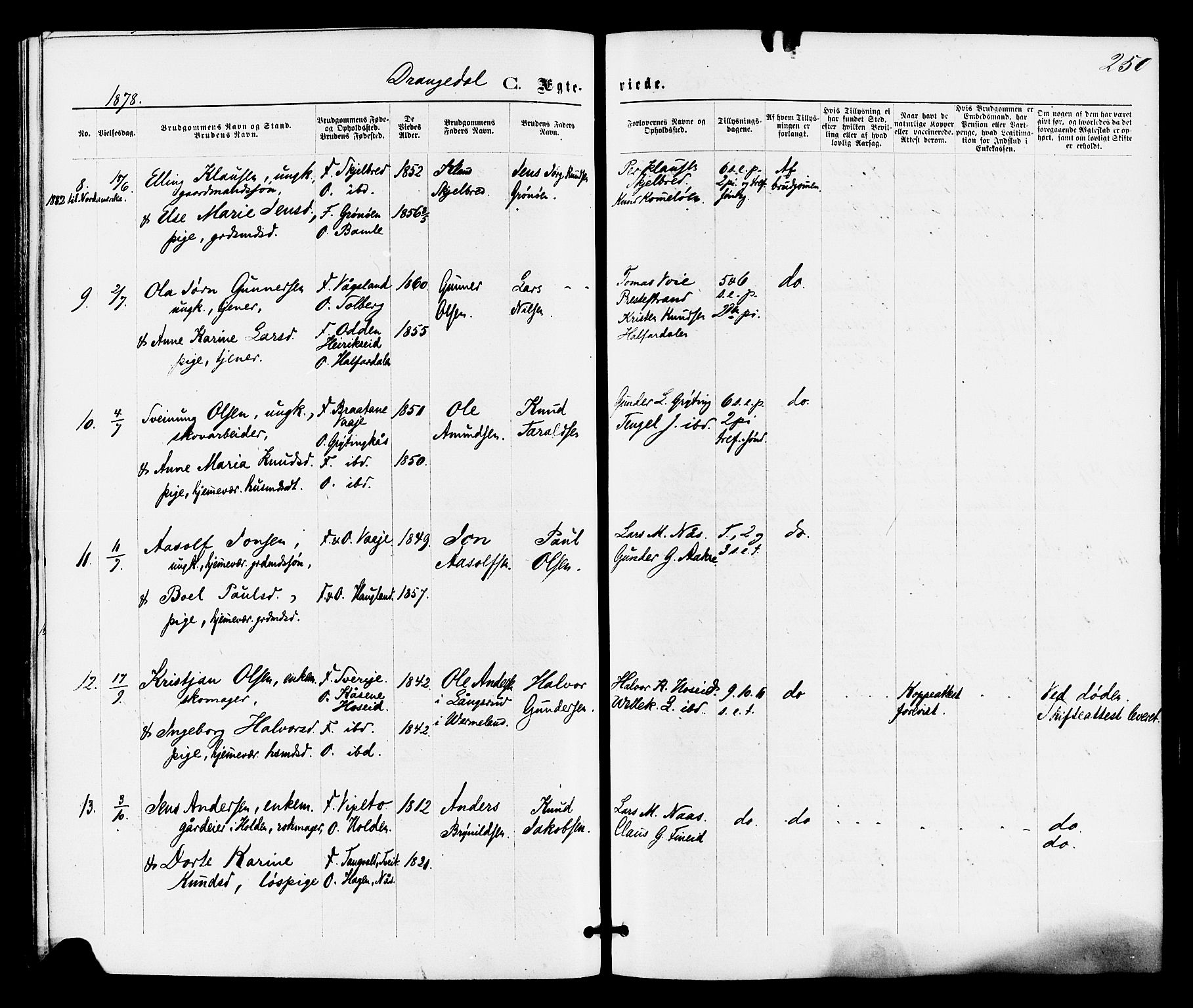 Drangedal kirkebøker, SAKO/A-258/F/Fa/L0009: Parish register (official) no. 9 /1, 1872-1884, p. 250