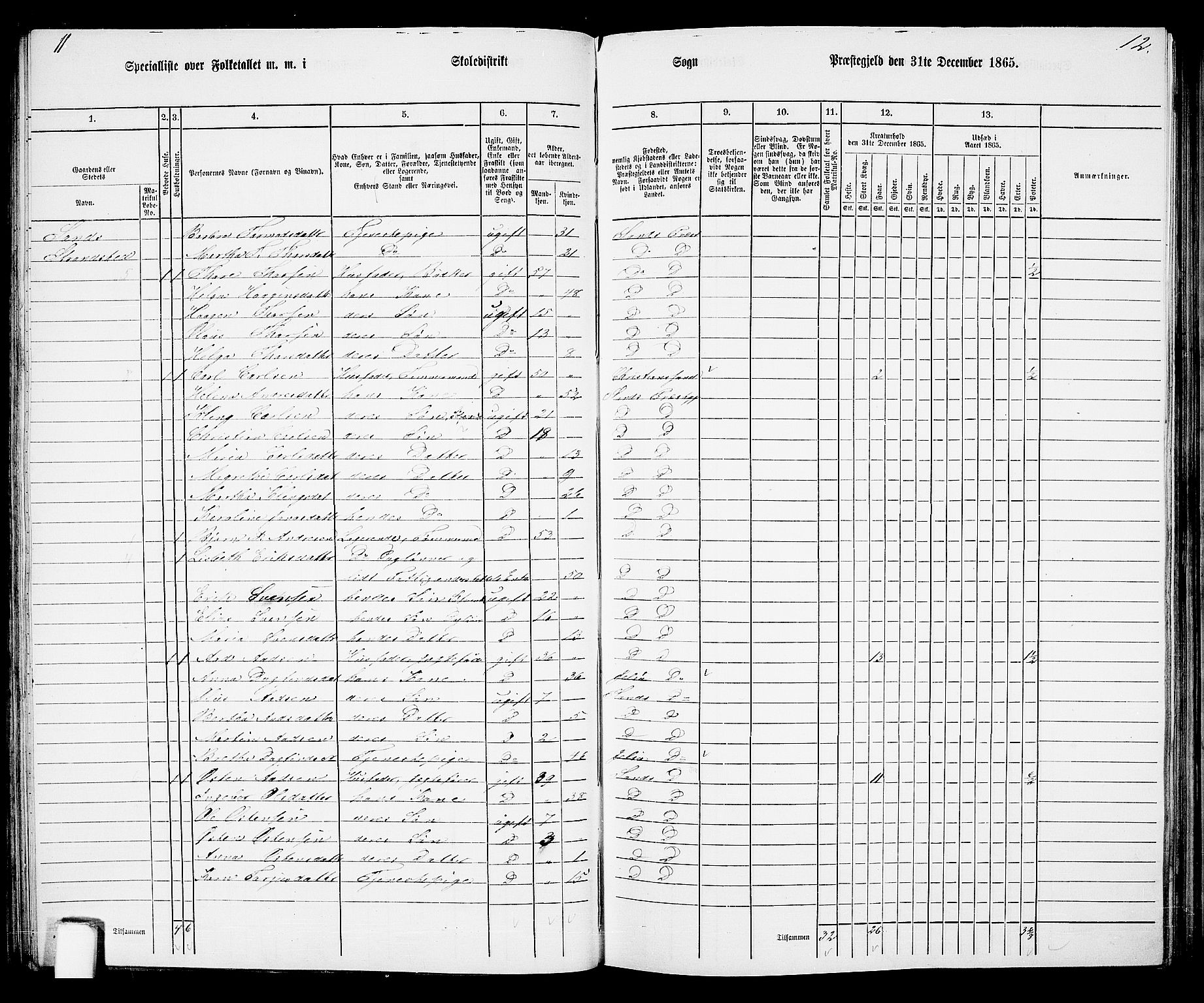 RA, 1865 census for Sand, 1865, p. 65