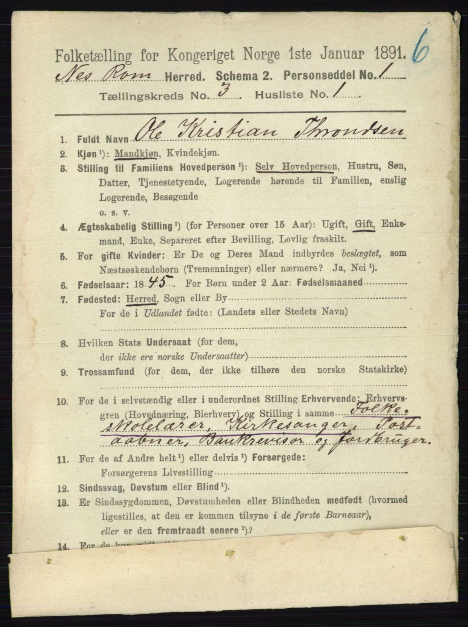 RA, 1891 census for 0236 Nes, 1891, p. 1577