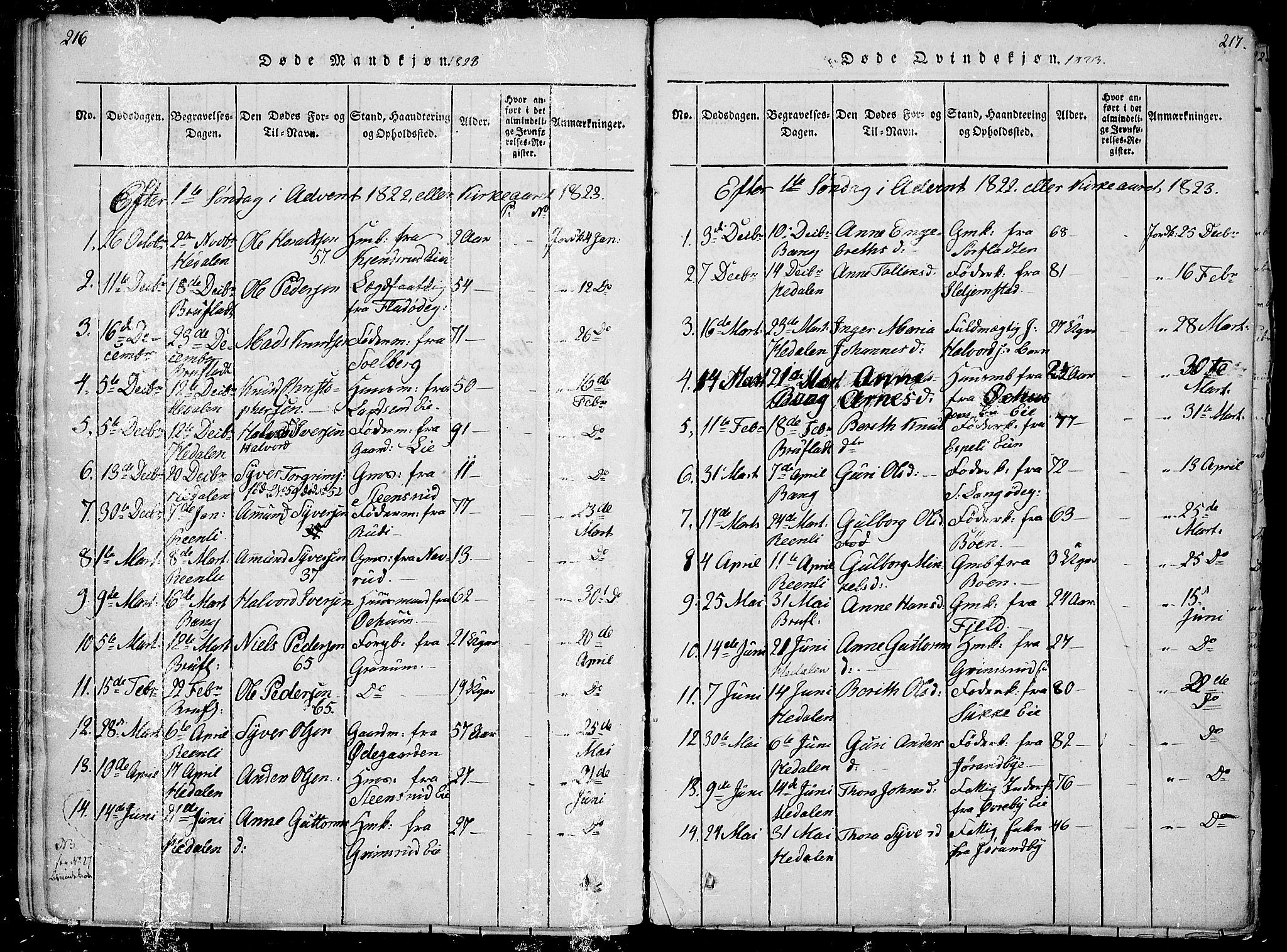 Sør-Aurdal prestekontor, AV/SAH-PREST-128/H/Ha/Haa/L0002: Parish register (official) no. 2, 1815-1840, p. 216-217