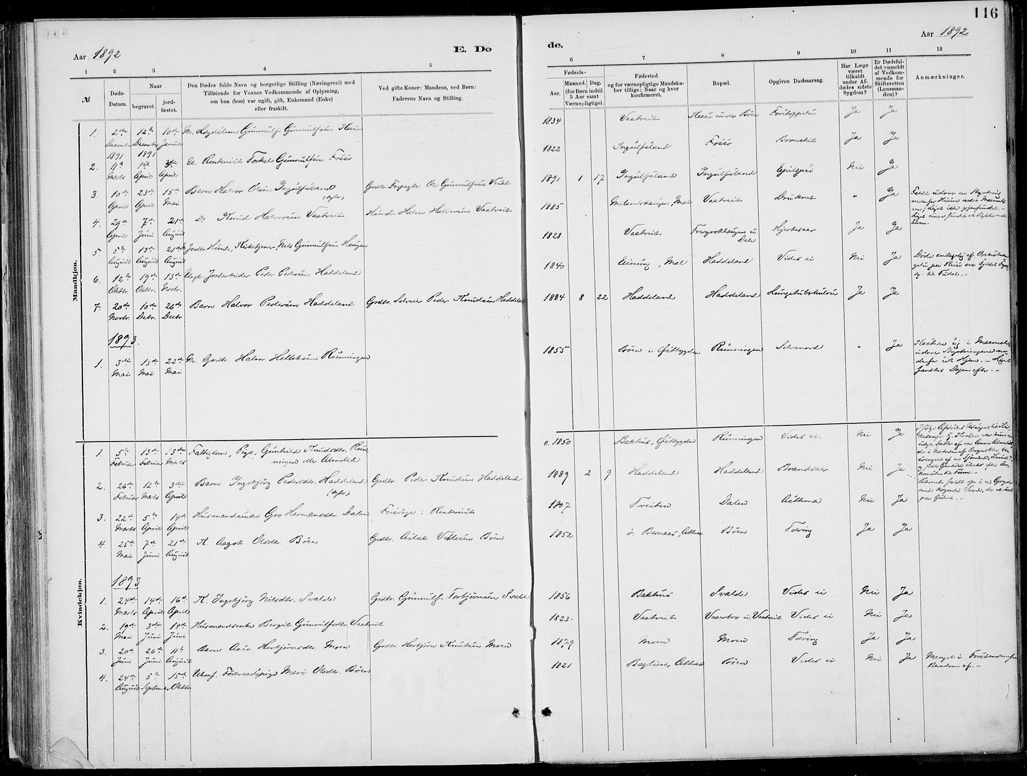 Rjukan kirkebøker, AV/SAKO-A-294/F/Fa/L0001: Parish register (official) no. 1, 1878-1912, p. 116