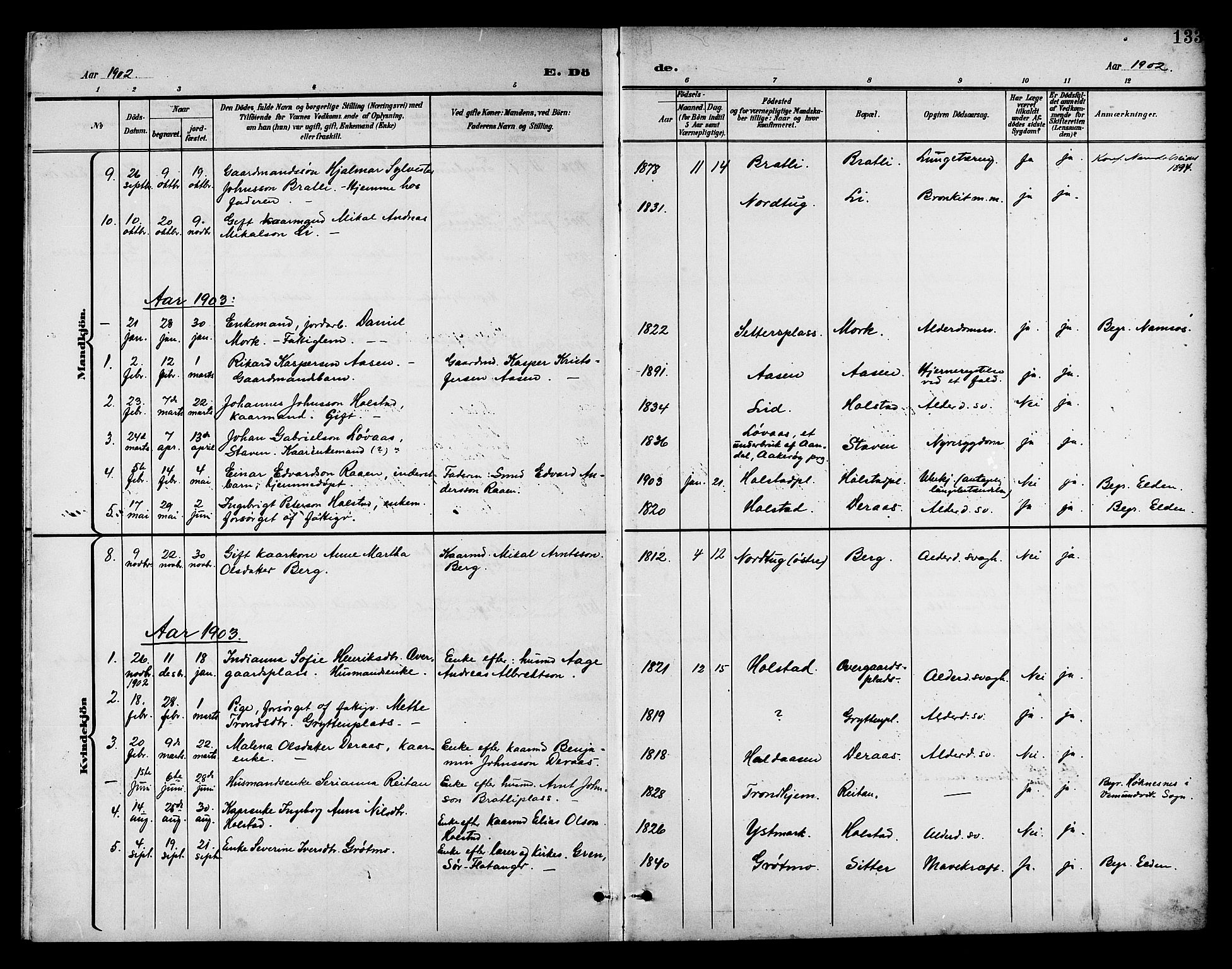 Ministerialprotokoller, klokkerbøker og fødselsregistre - Nord-Trøndelag, AV/SAT-A-1458/742/L0412: Parish register (copy) no. 742C03, 1898-1910, p. 133