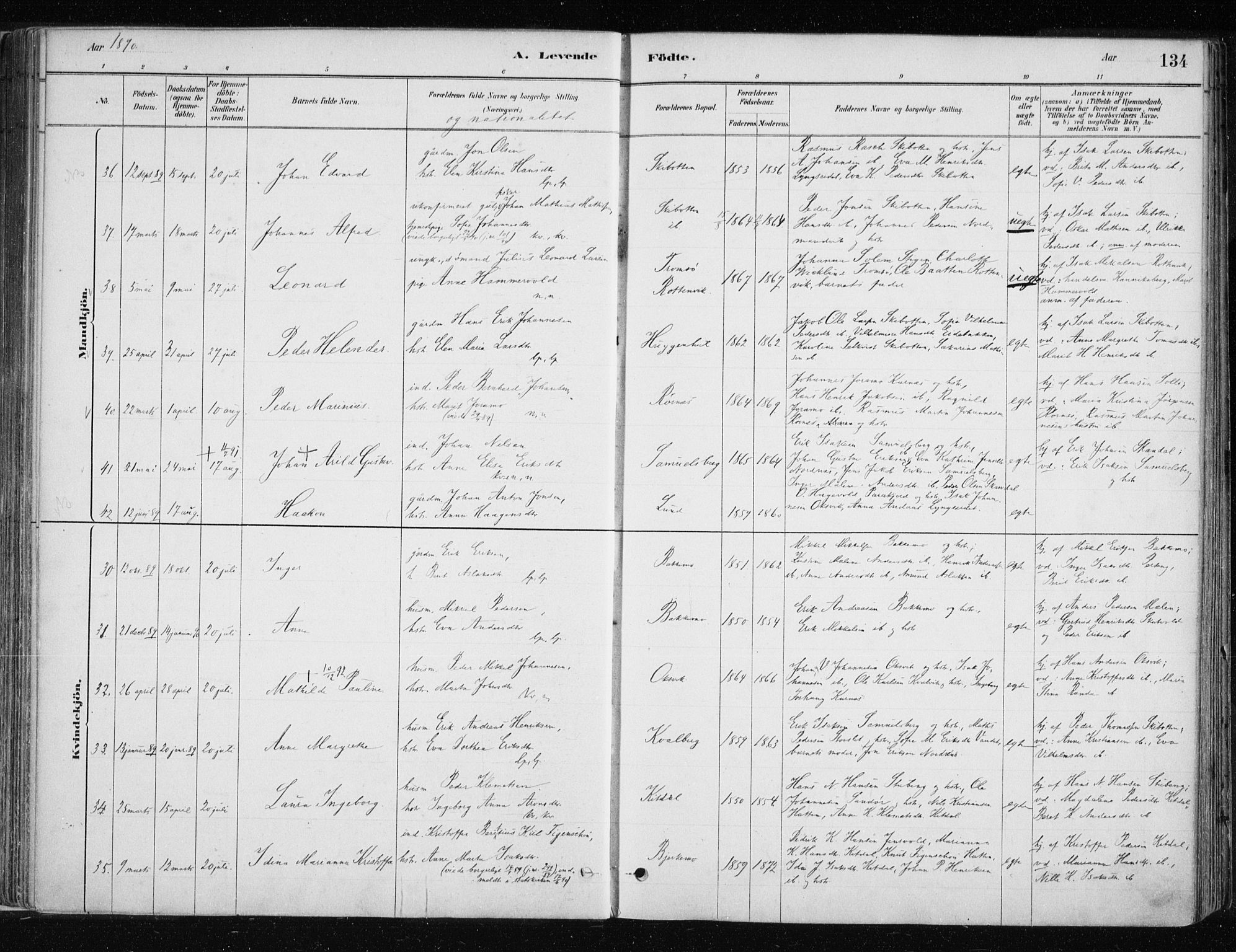 Lyngen sokneprestembete, AV/SATØ-S-1289/H/He/Hea/L0007kirke: Parish register (official) no. 7, 1879-1890, p. 134