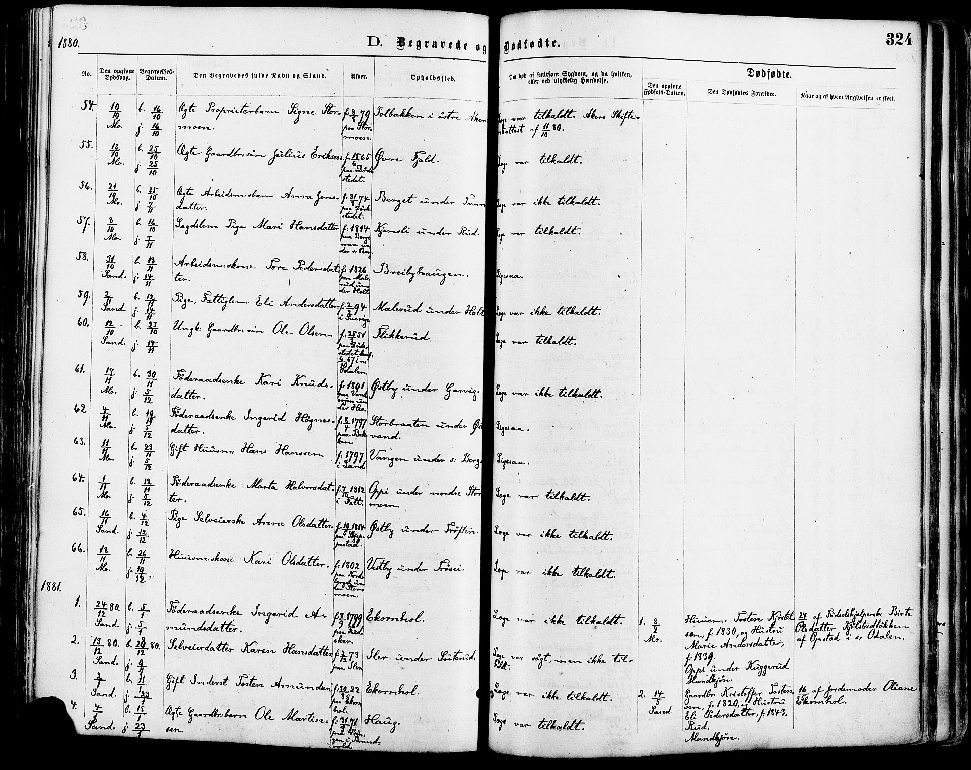 Nord-Odal prestekontor, AV/SAH-PREST-032/H/Ha/Haa/L0005: Parish register (official) no. 5, 1874-1885, p. 324