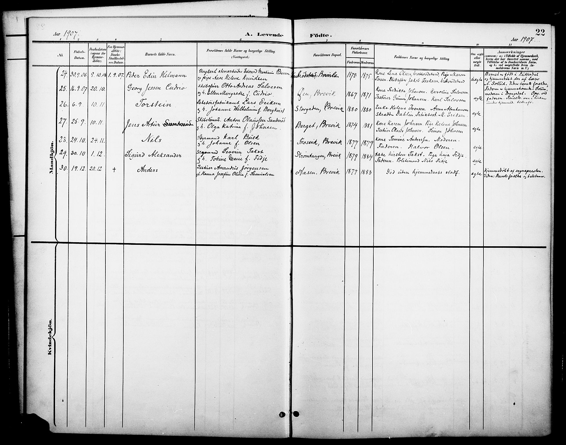 Brevik kirkebøker, SAKO/A-255/G/Ga/L0005: Parish register (copy) no. 5, 1901-1924, p. 22