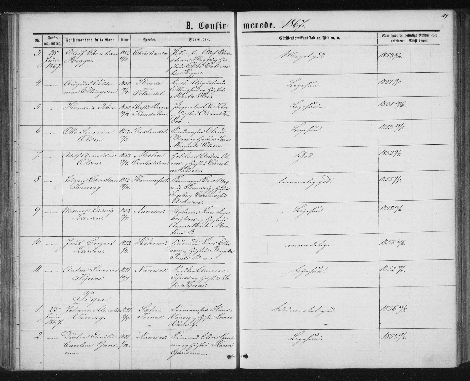 Ministerialprotokoller, klokkerbøker og fødselsregistre - Nord-Trøndelag, SAT/A-1458/768/L0570: Parish register (official) no. 768A05, 1865-1874, p. 114