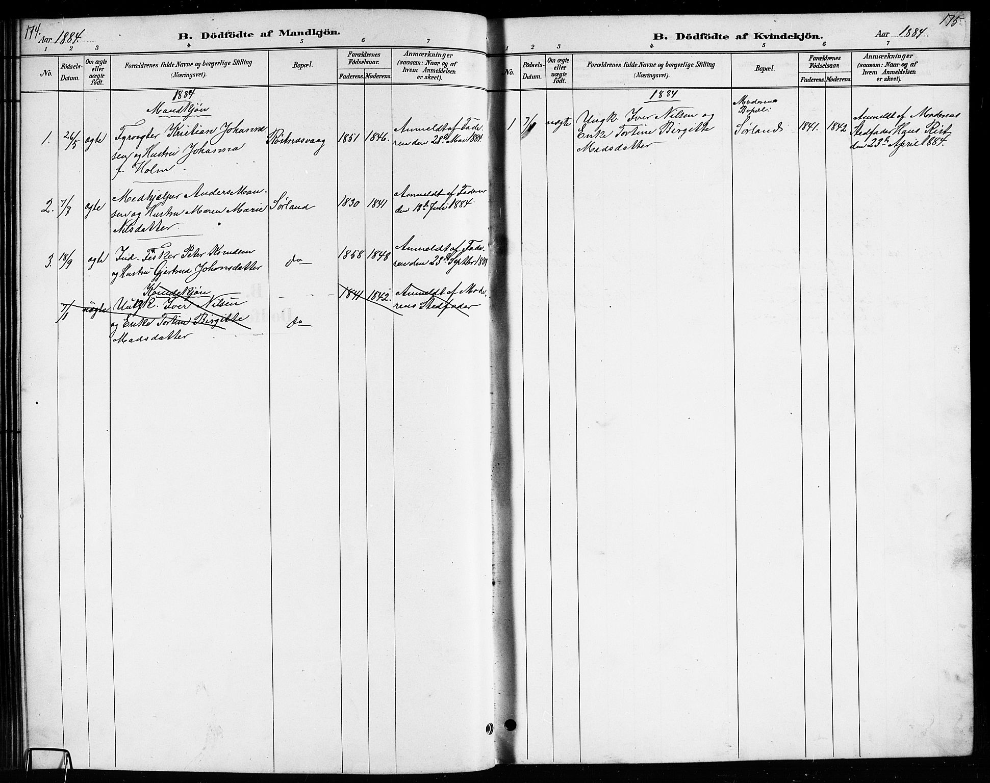 Ministerialprotokoller, klokkerbøker og fødselsregistre - Nordland, AV/SAT-A-1459/807/L0123: Parish register (copy) no. 807C01, 1884-1910, p. 174-175