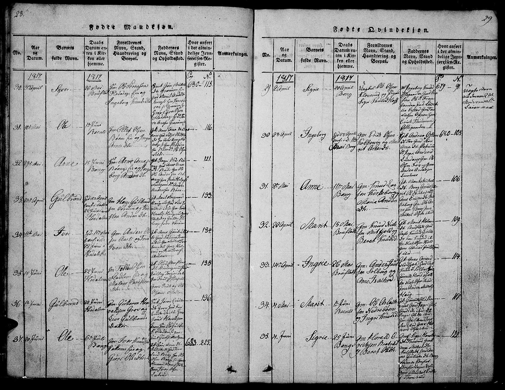 Sør-Aurdal prestekontor, AV/SAH-PREST-128/H/Ha/Hab/L0001: Parish register (copy) no. 1, 1815-1826, p. 28-29