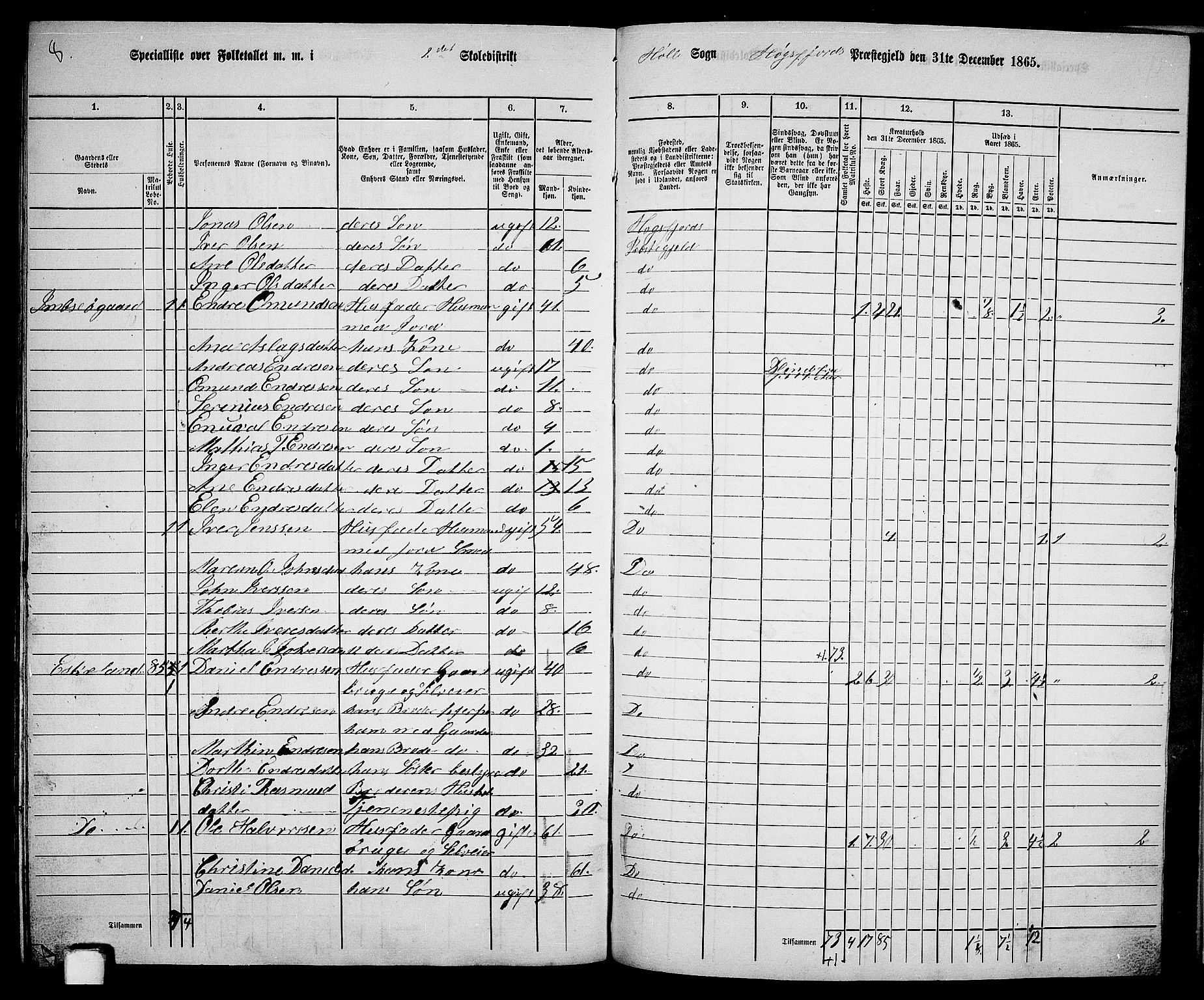 RA, 1865 census for Høgsfjord, 1865, p. 134