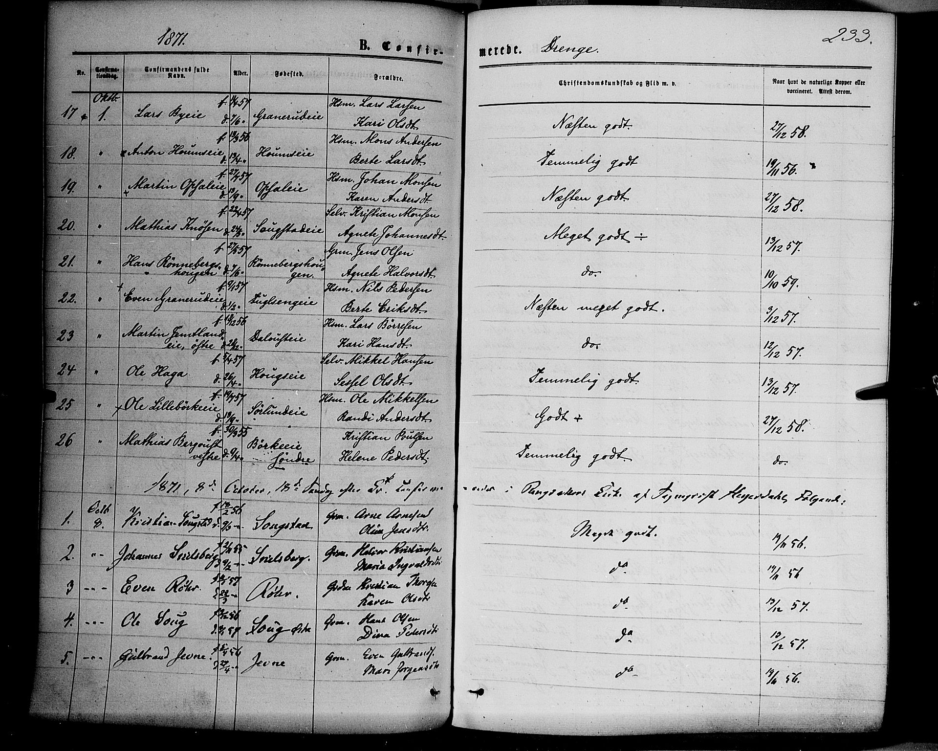 Ringsaker prestekontor, AV/SAH-PREST-014/K/Ka/L0011: Parish register (official) no. 11, 1870-1878, p. 234