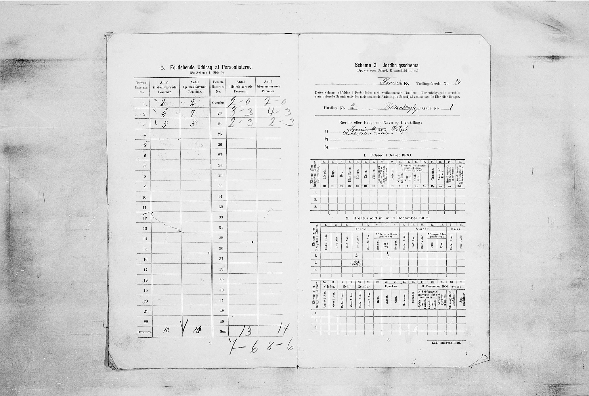 RA, 1900 census for Larvik, 1900, p. 2501