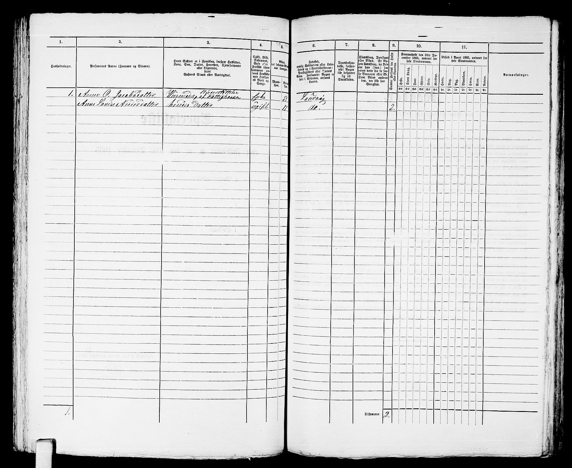 RA, 1865 census for Larvik, 1865, p. 372