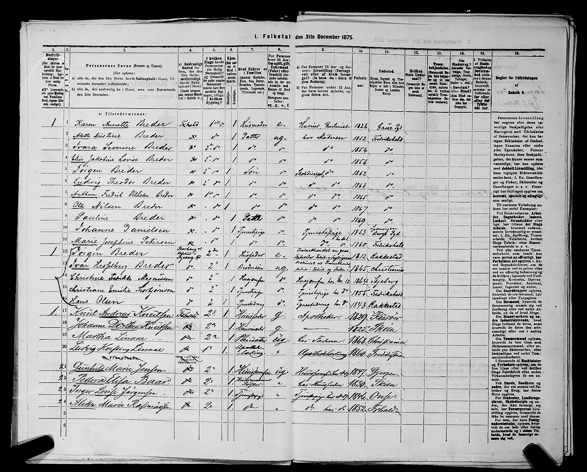 RA, 1875 census for 0101P Fredrikshald, 1875, p. 493