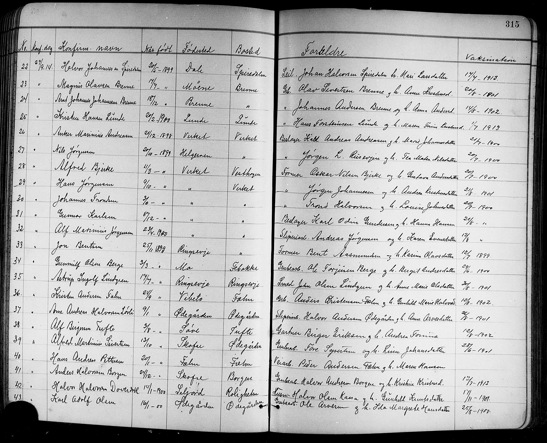 Holla kirkebøker, SAKO/A-272/G/Ga/L0005: Parish register (copy) no. I 5, 1891-1917, p. 315